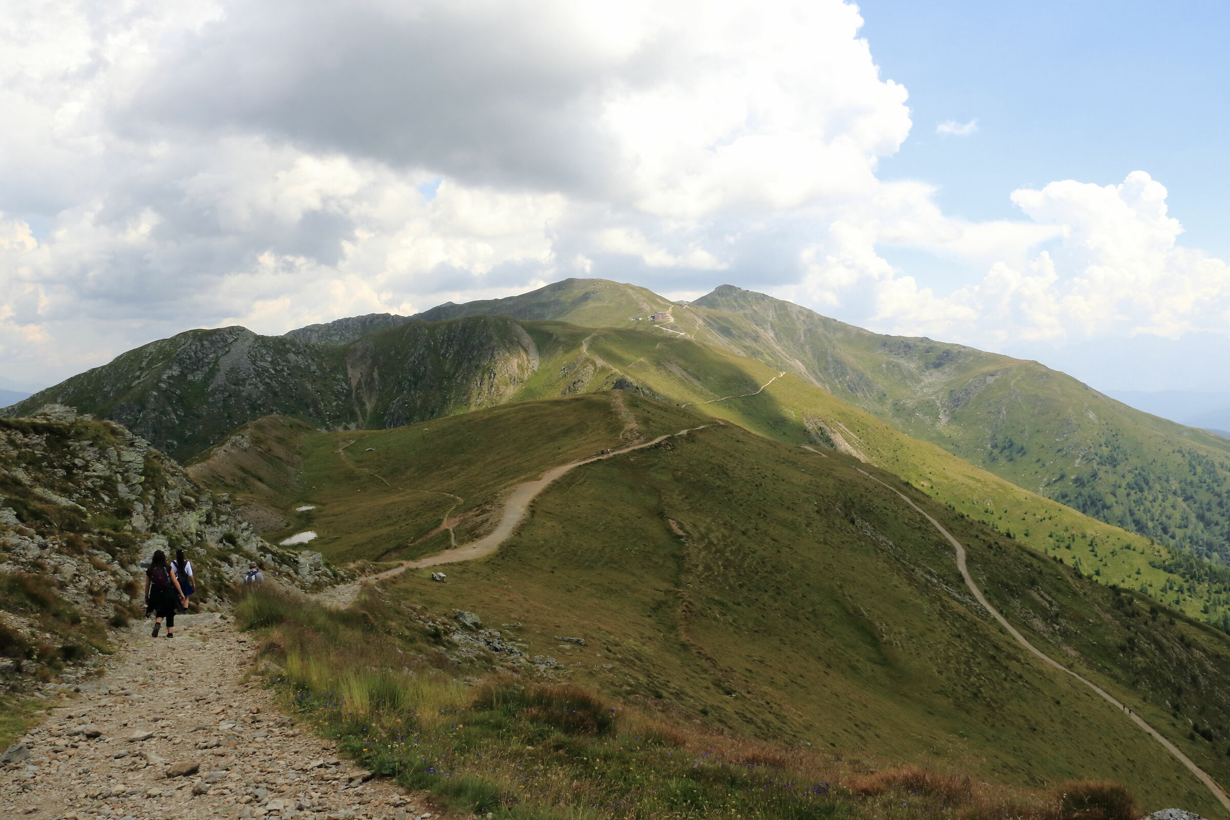 Alta Via Carnica, scendendo dalla cima del Monte Elmo
