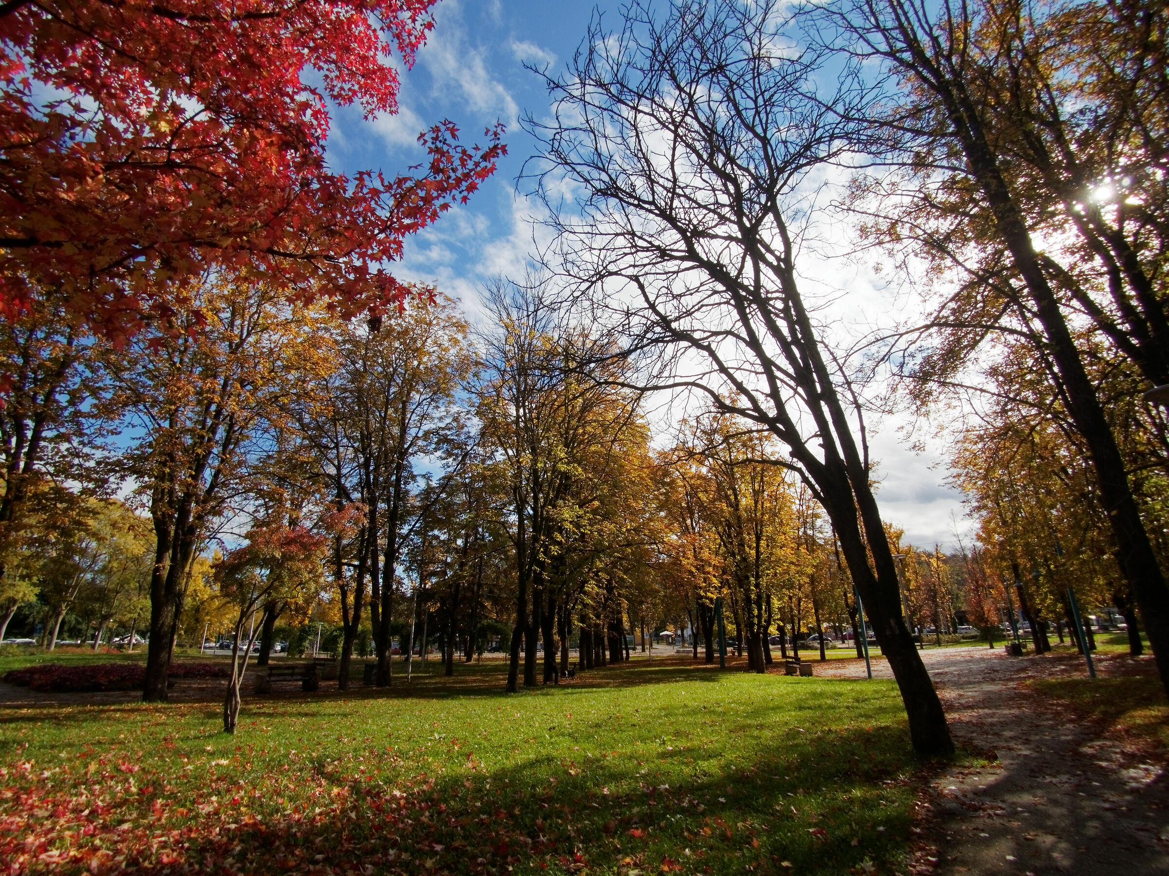 In the park, in autumn