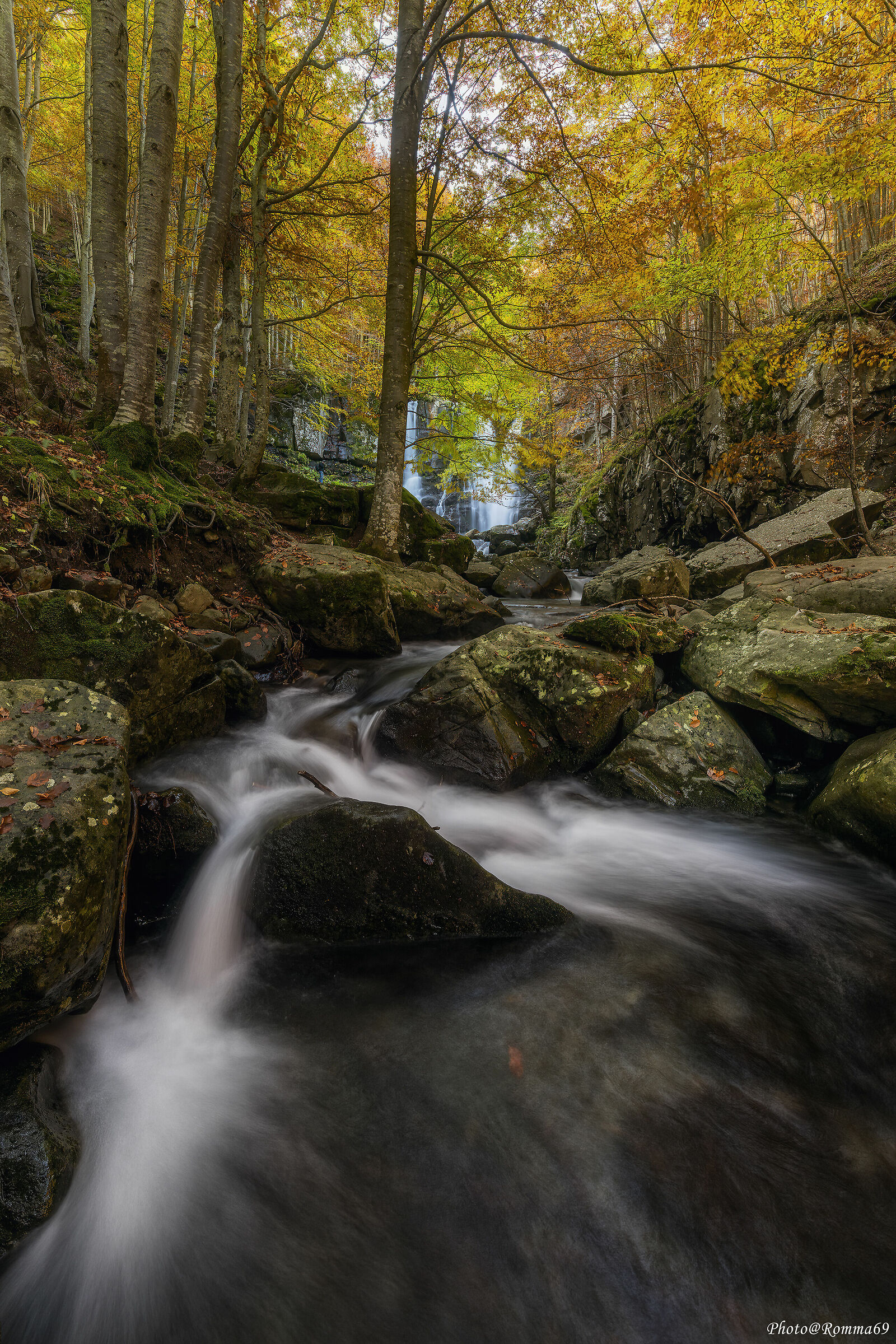 Autunno nell'appennino bolognese