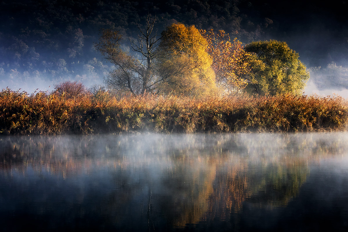 I fantastici quattro