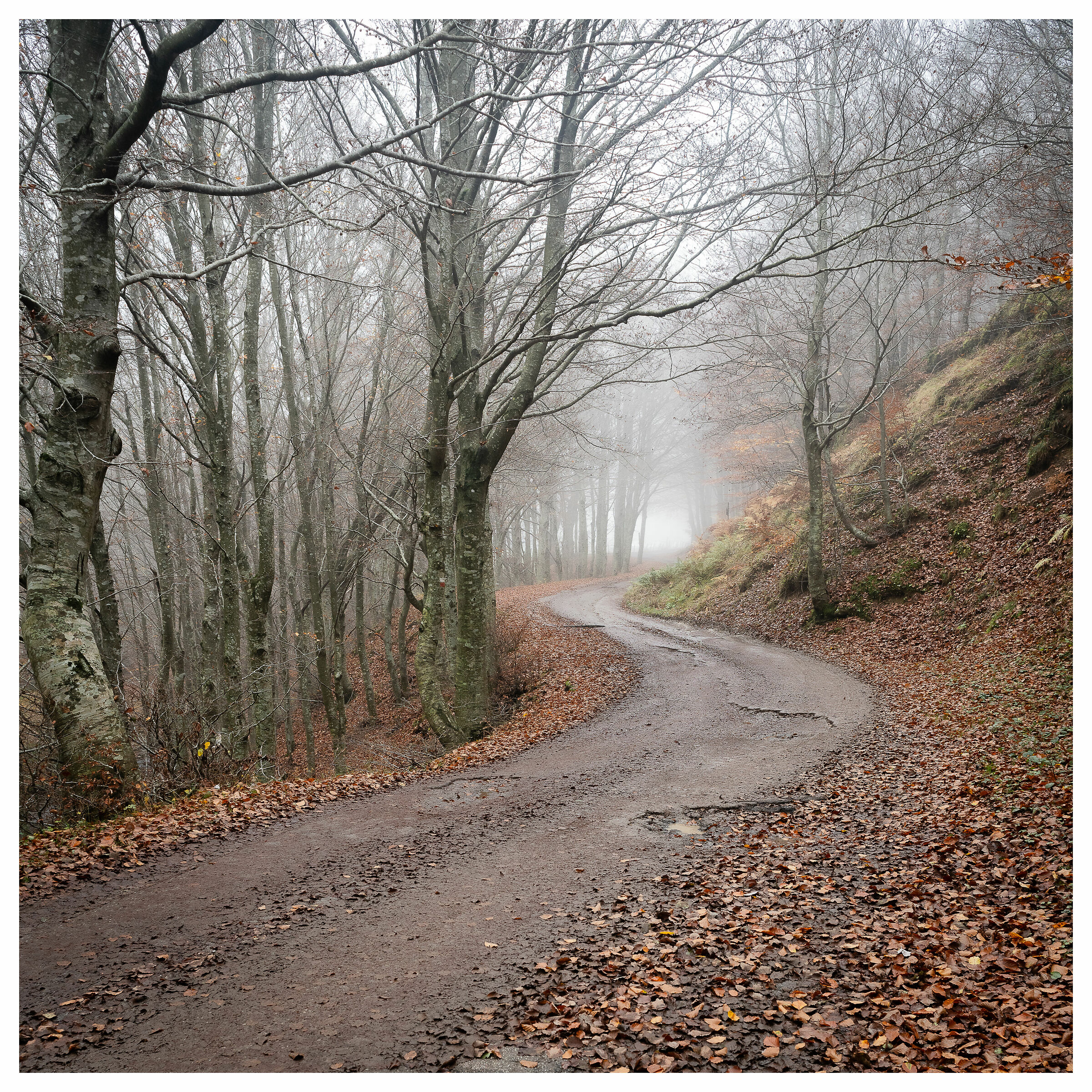 si va verso l'inverno, 1:1