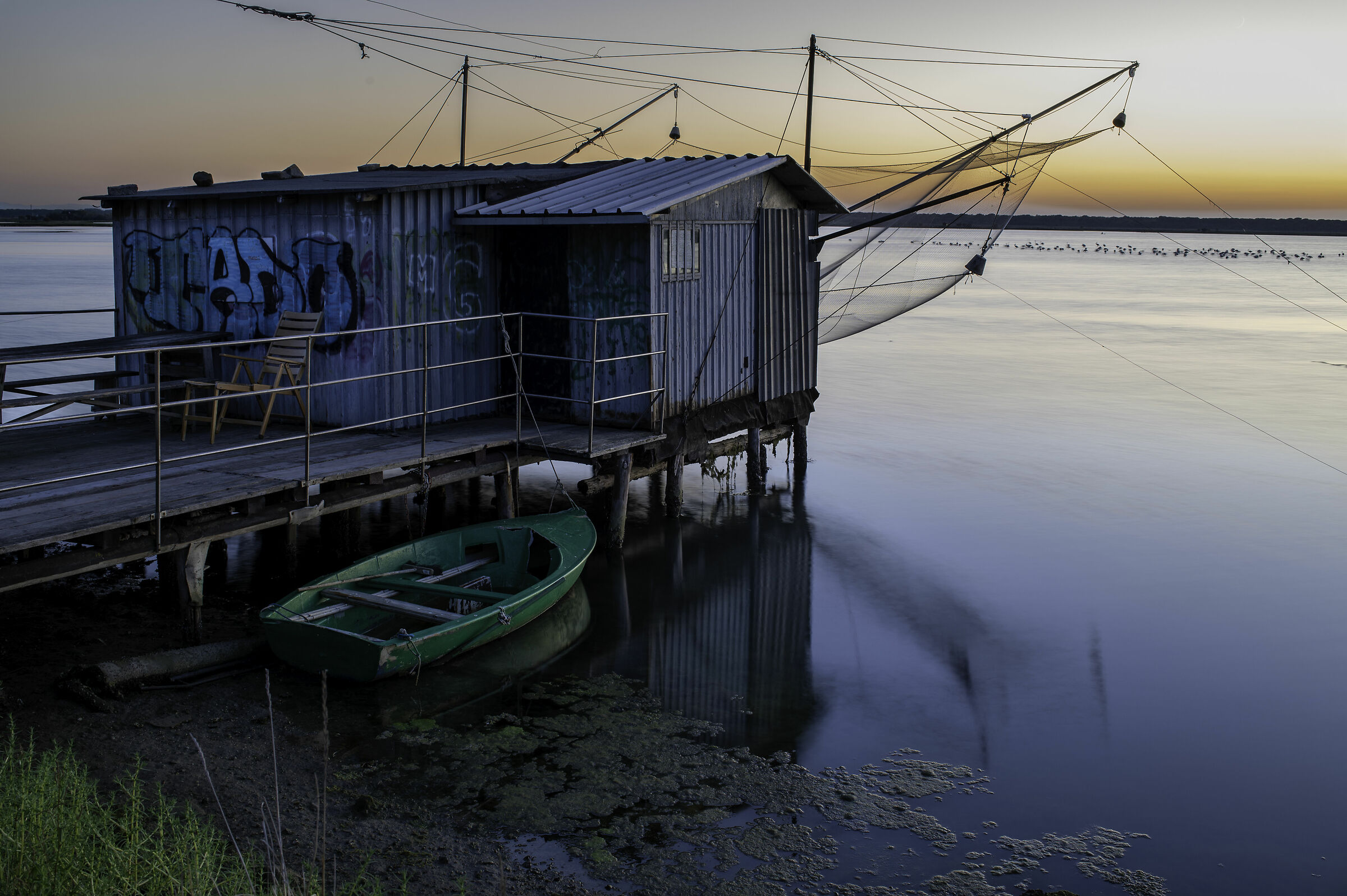 Pialassa Baiona - Shed