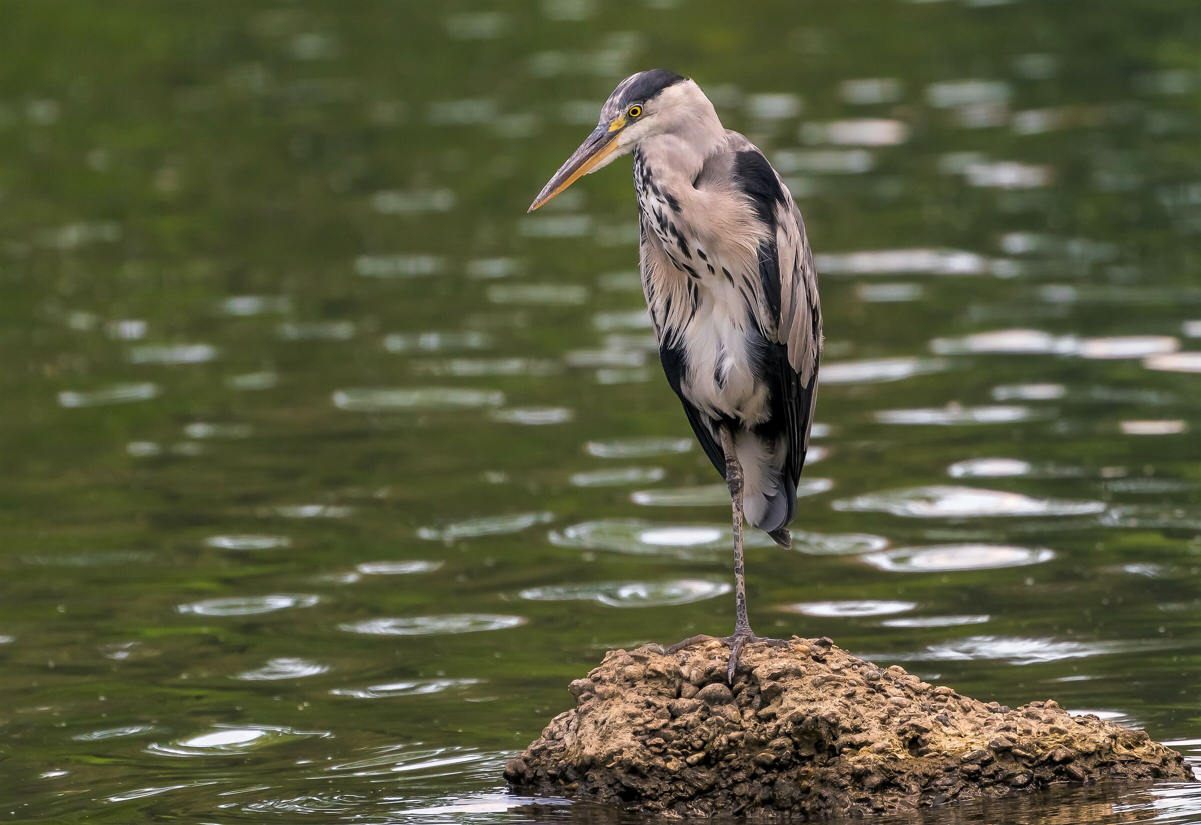 prove di equilibrio......