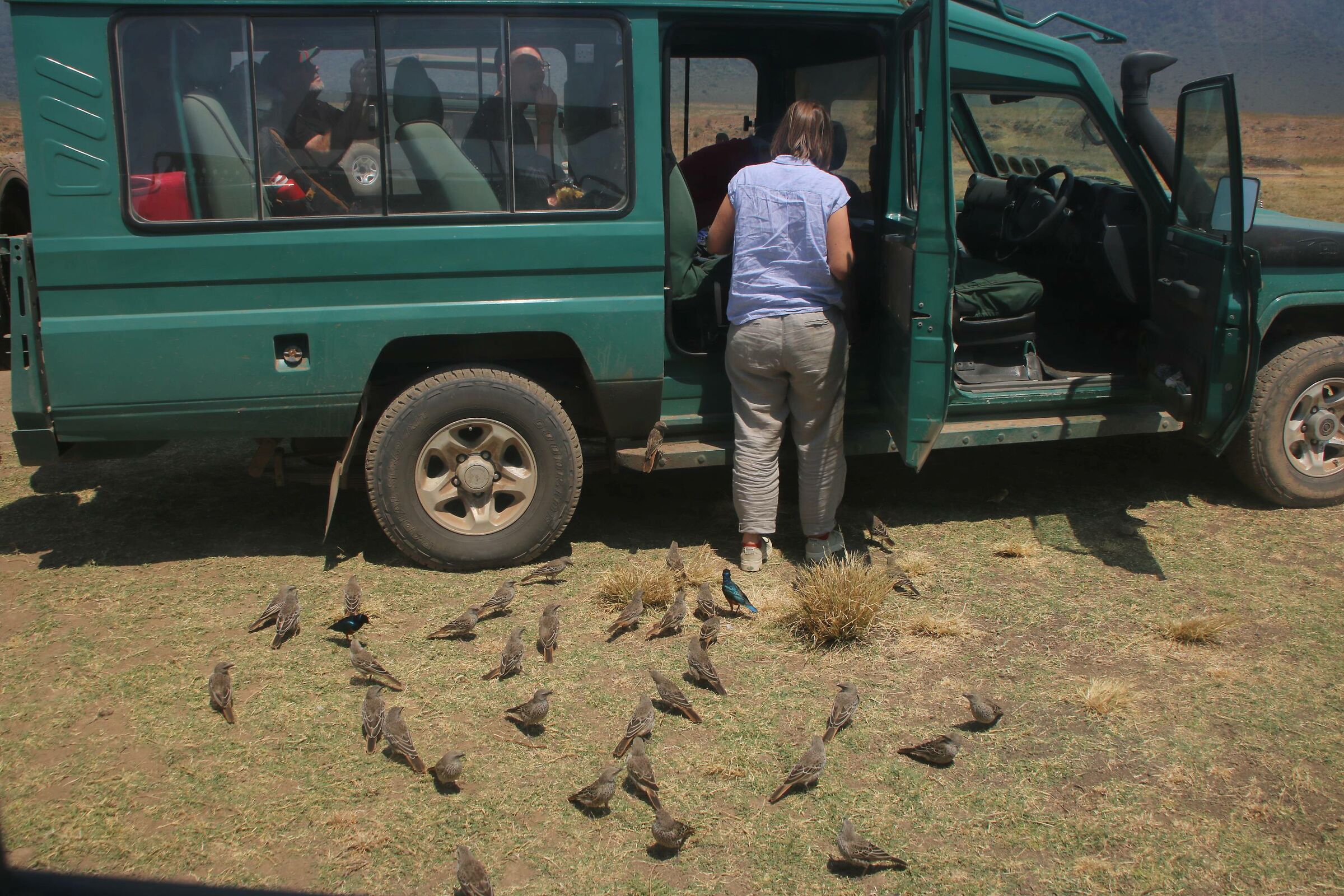 Waiting for a few crumbs