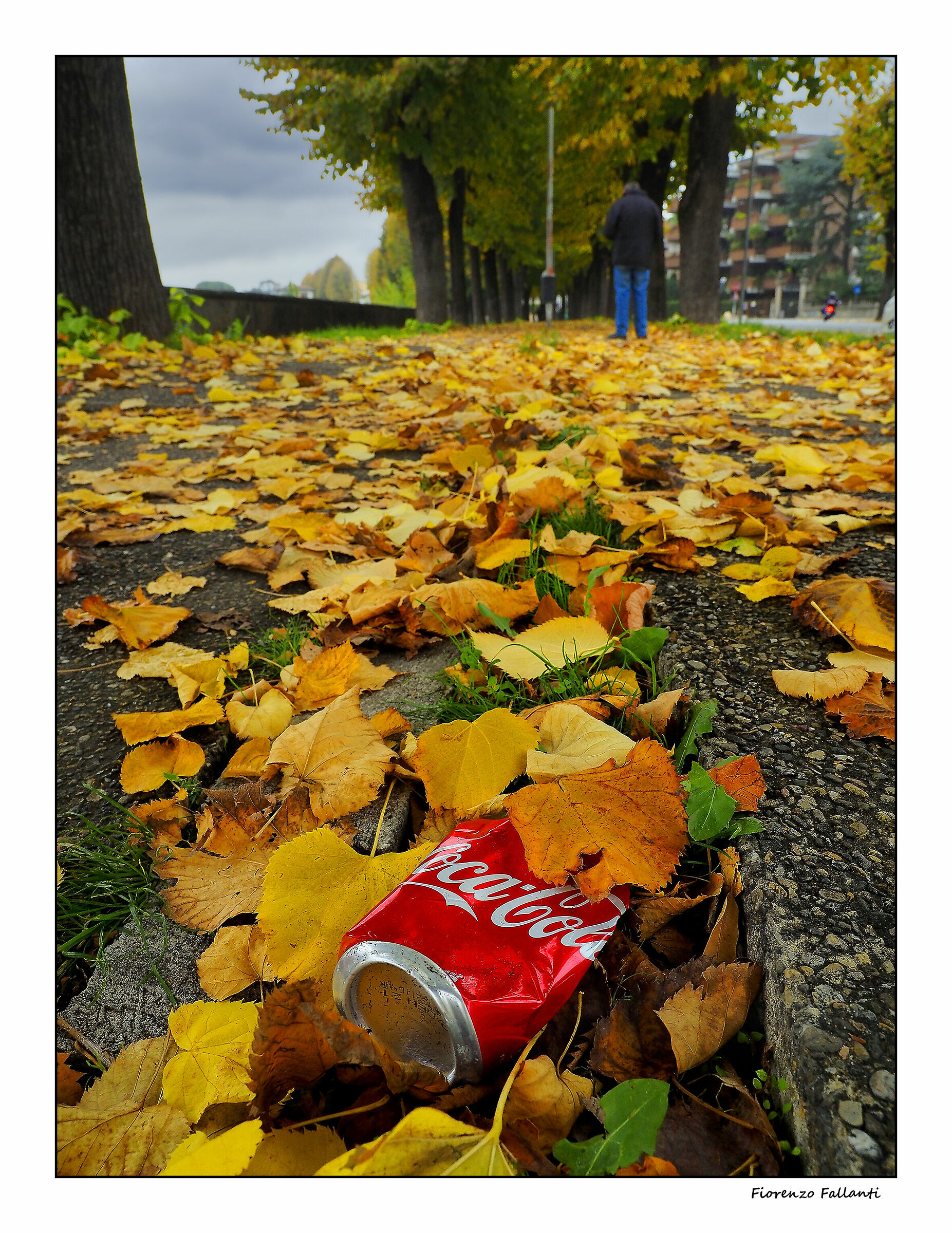 ...Autunno in città...