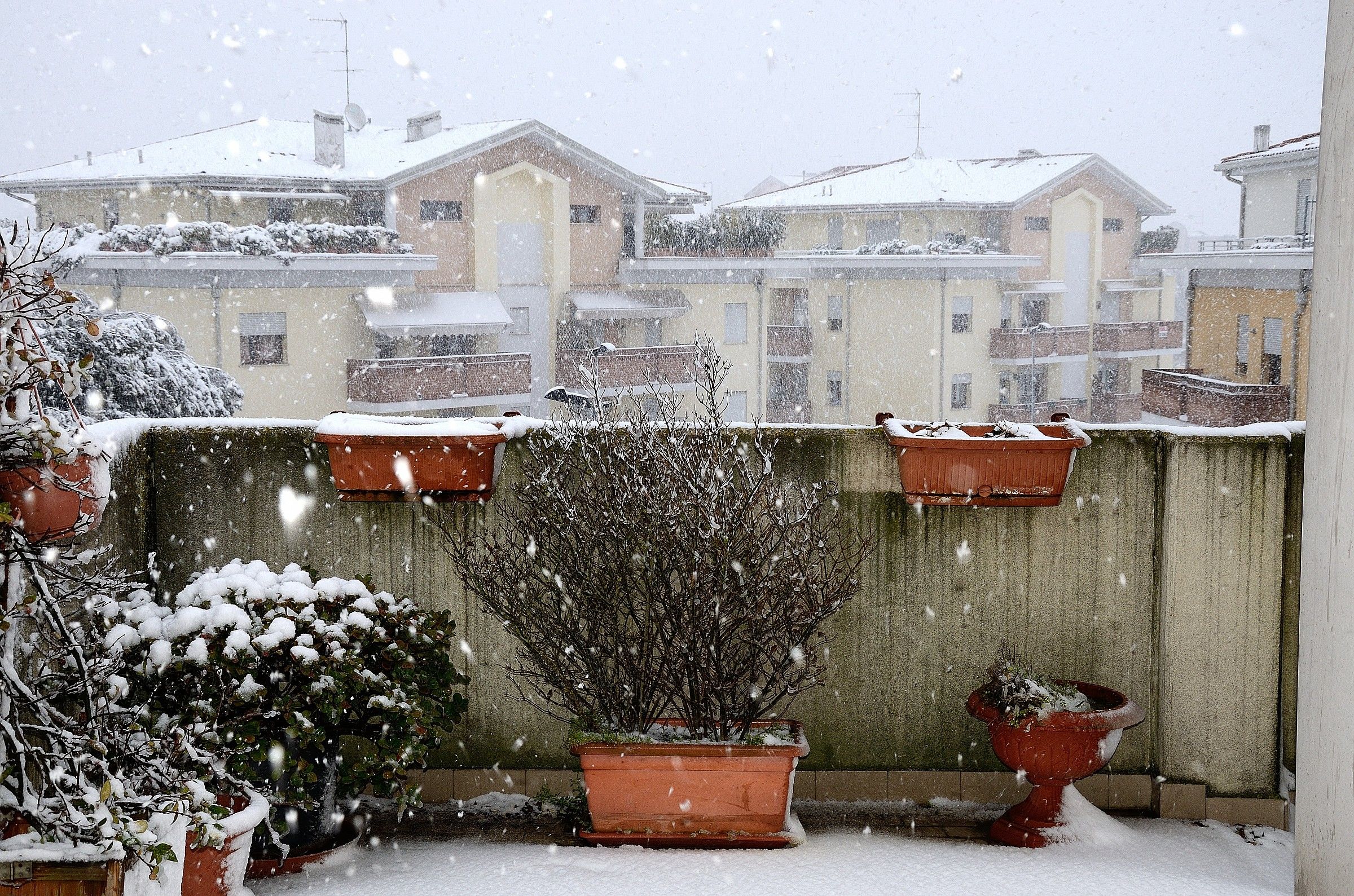 Guardando dalla finestra 2