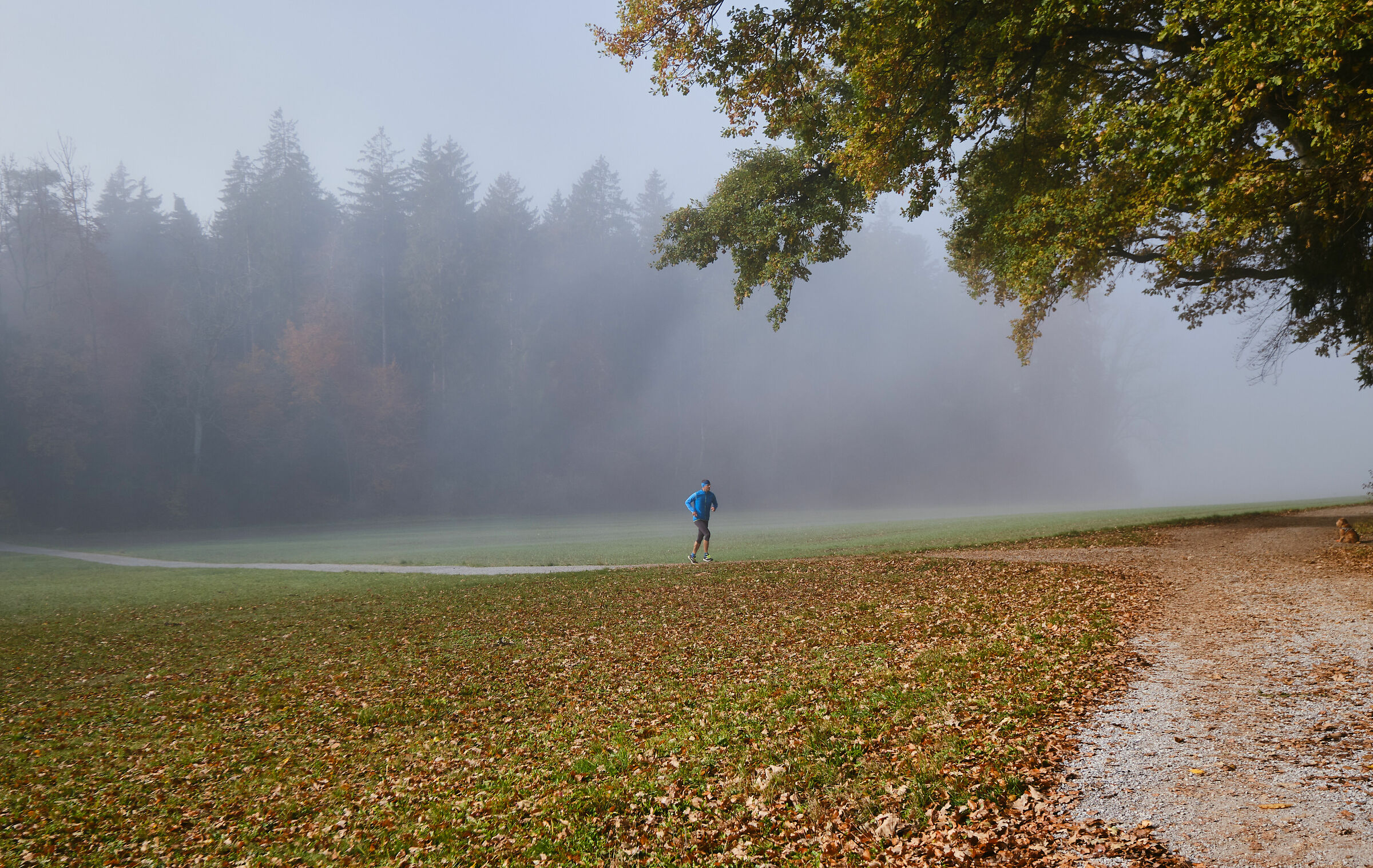 The runner
