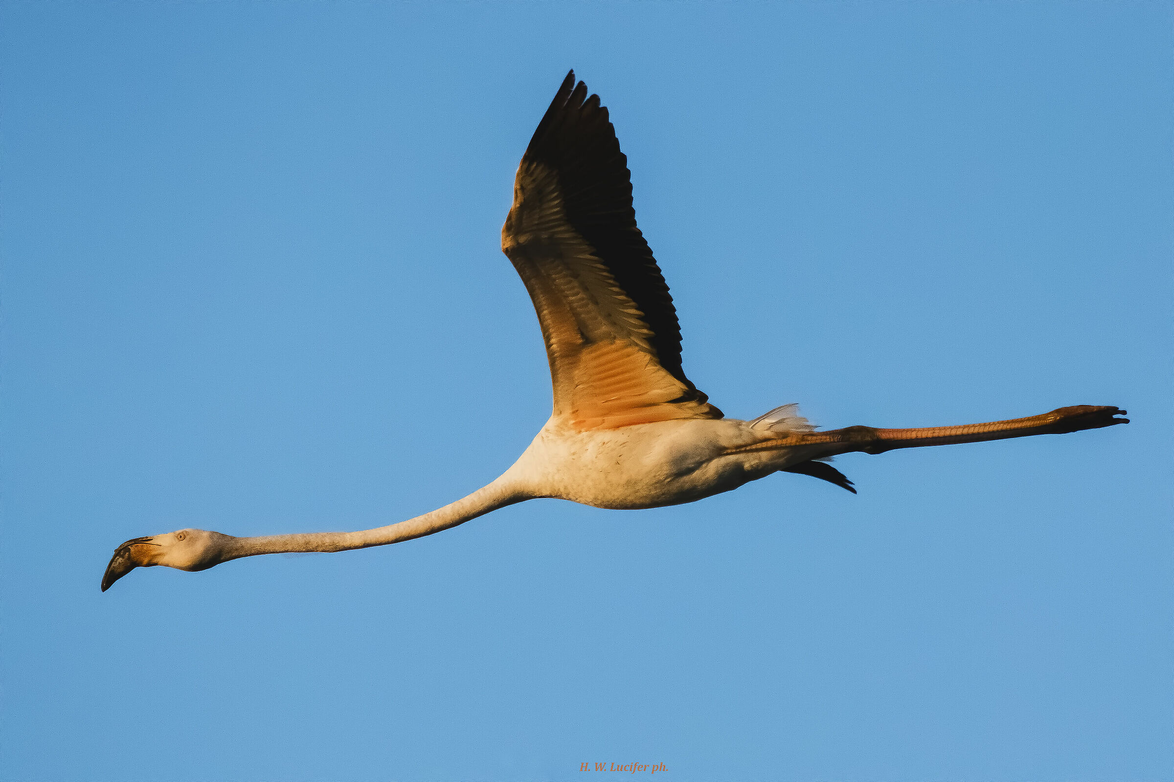 Early morning flight