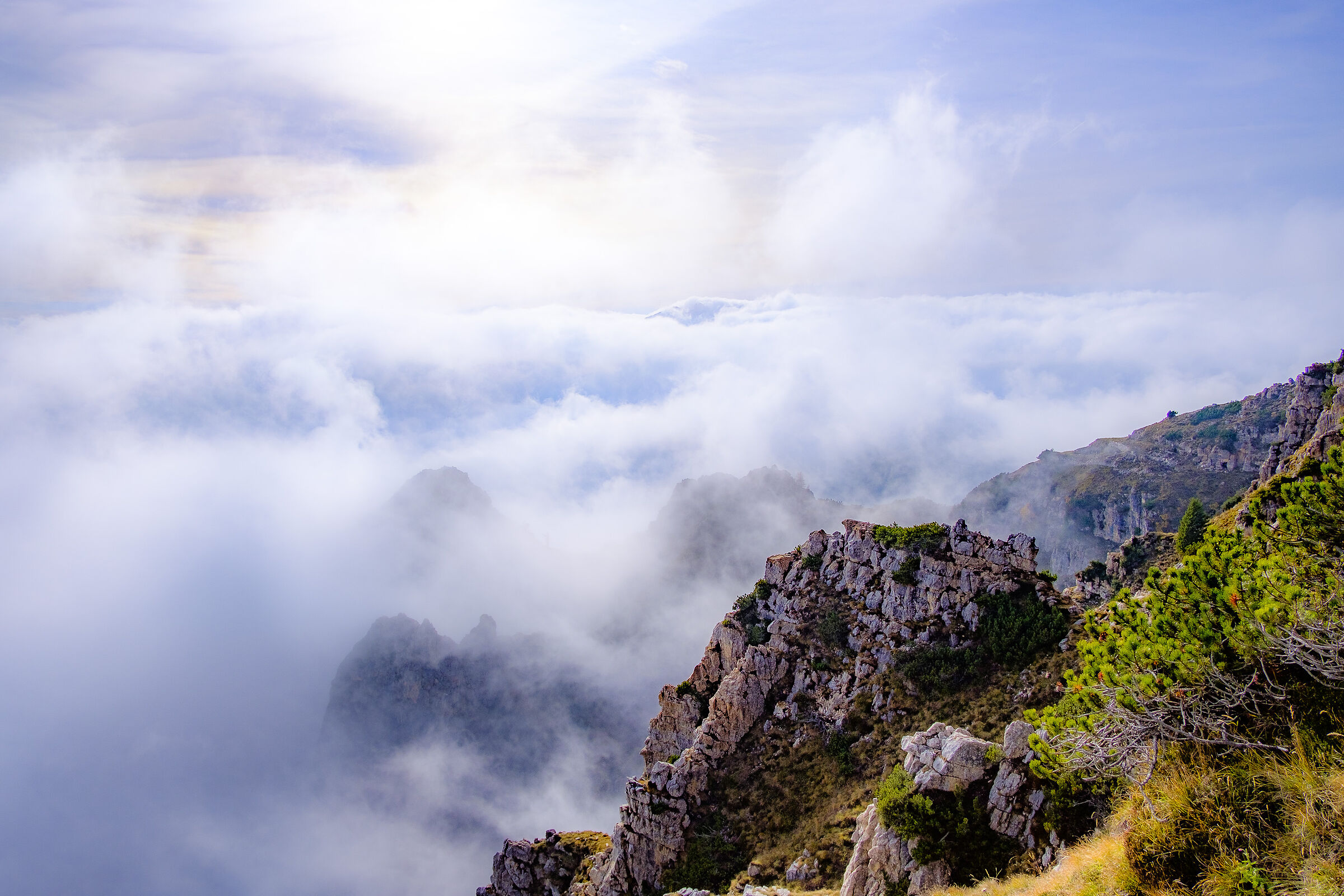 Novembre in Pasubio