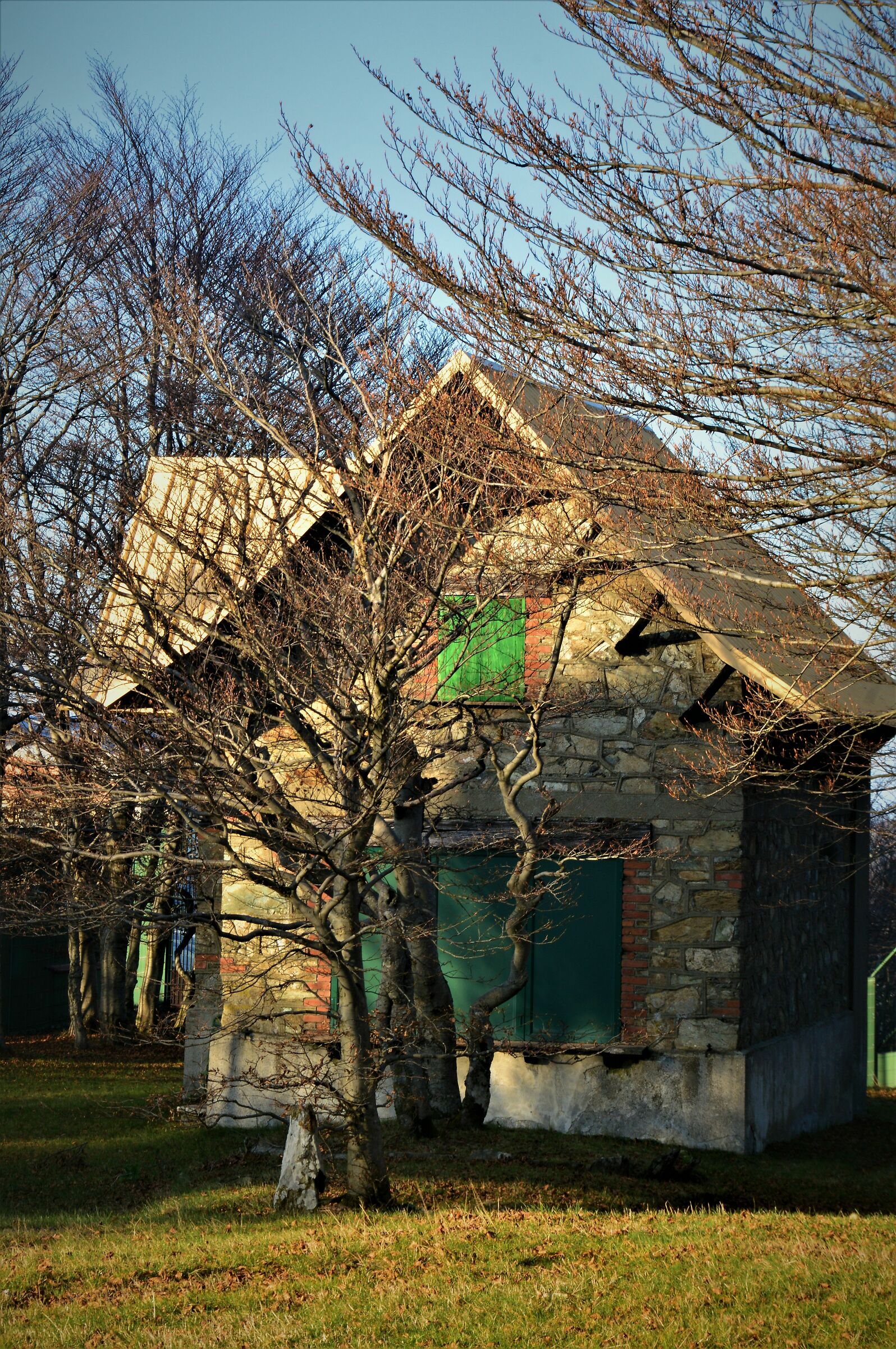 Casetta nel bosco