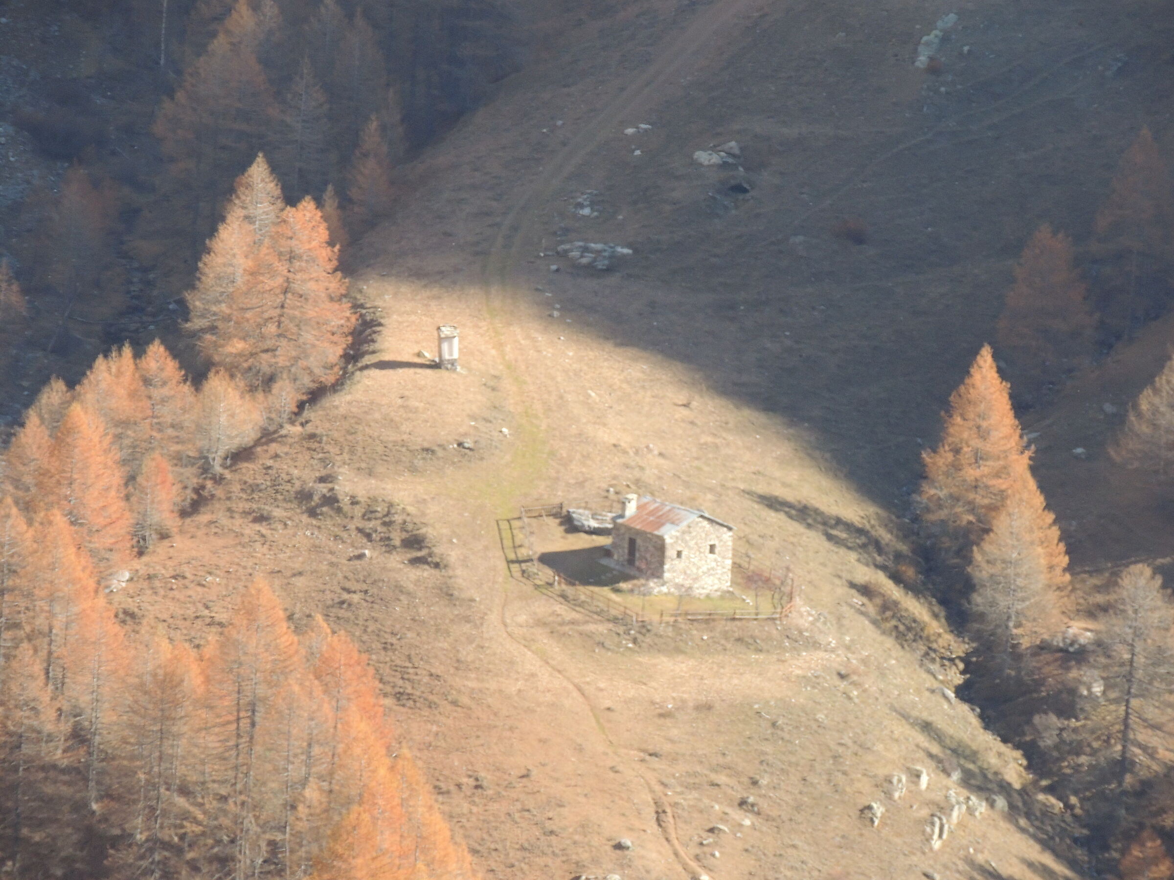 Malga