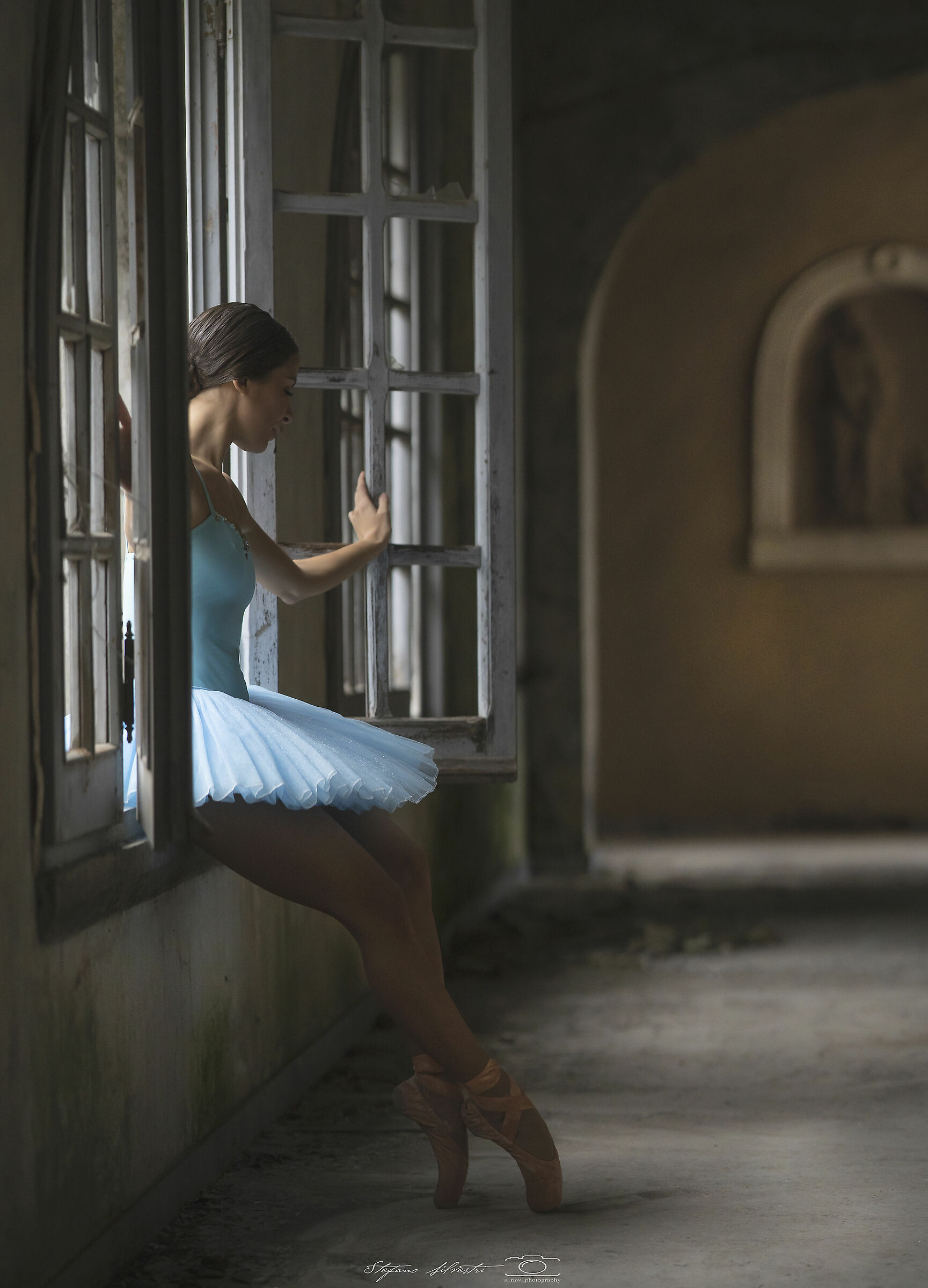 the fusion of two arts, dance and photography