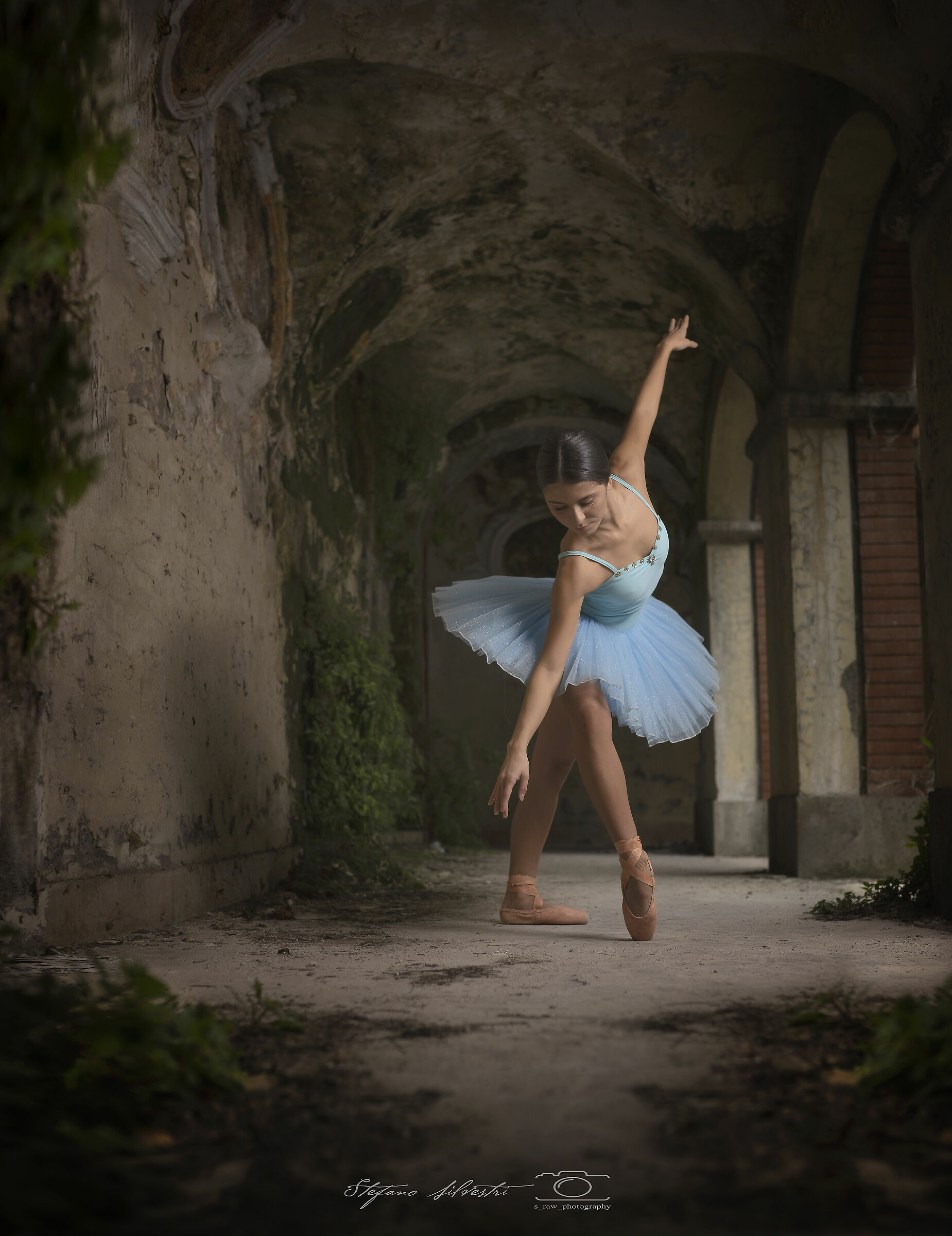 the fusion of two arts, dance and photography