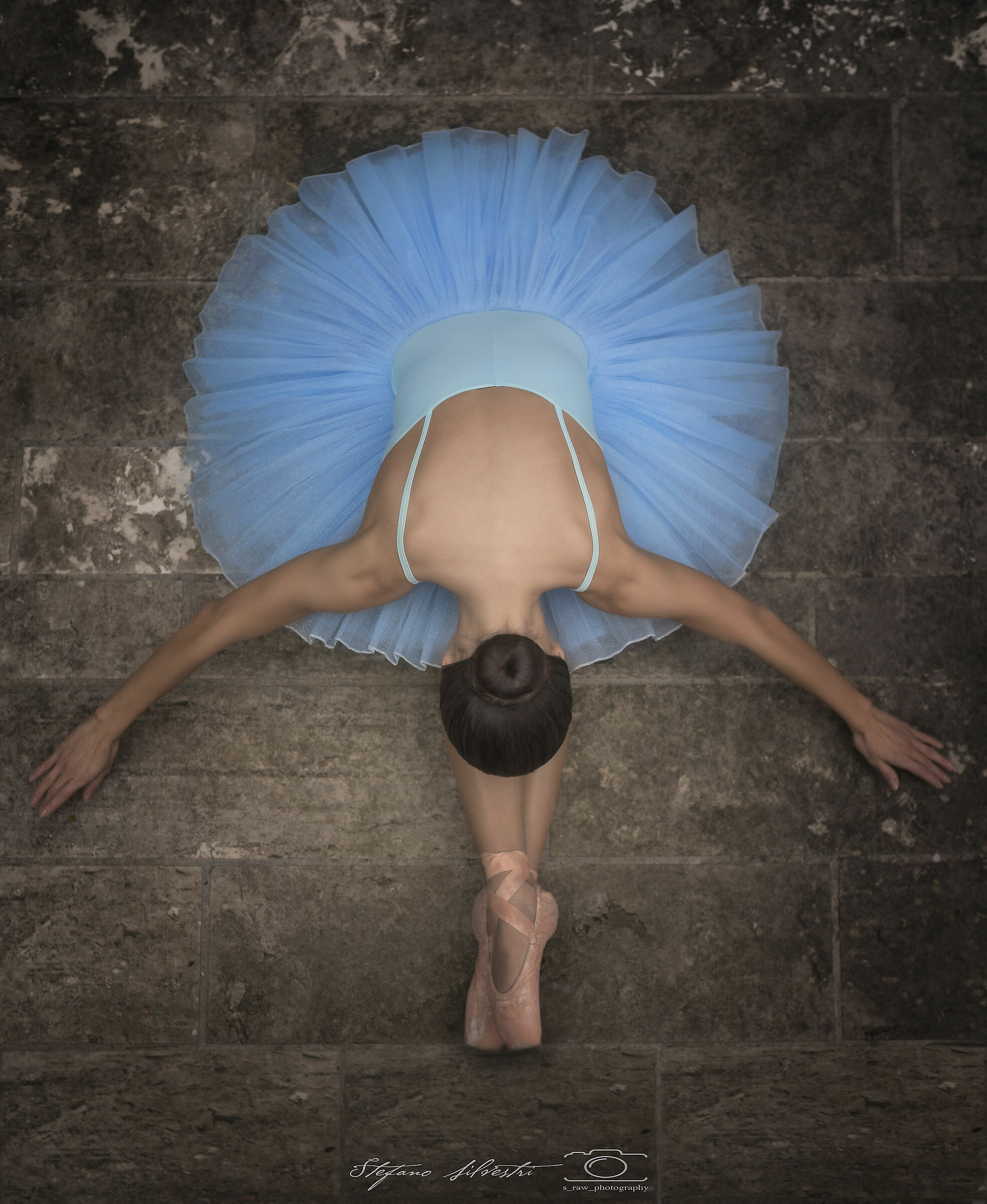 the fusion of two arts, dance and photography