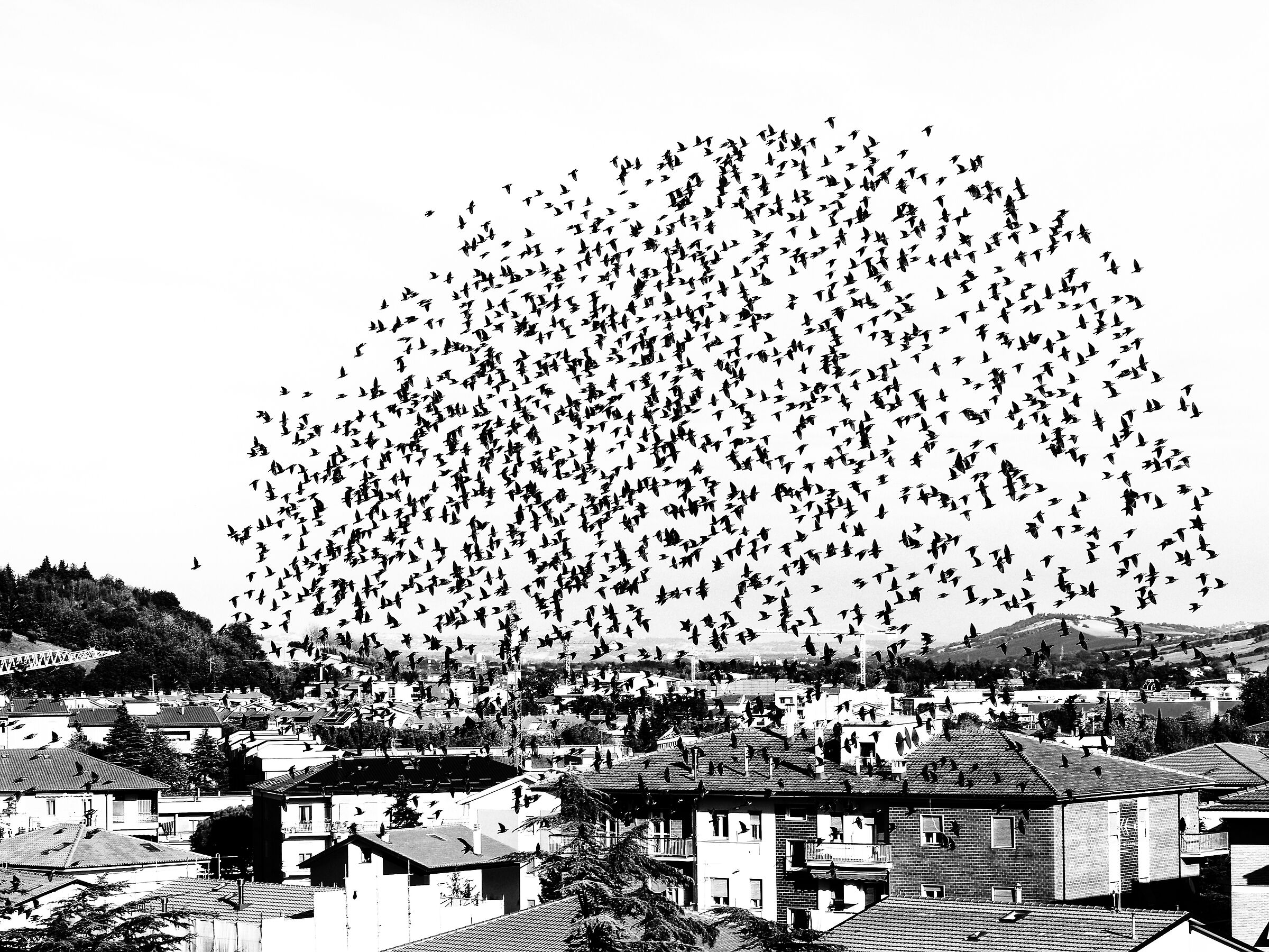 Free... not like humans