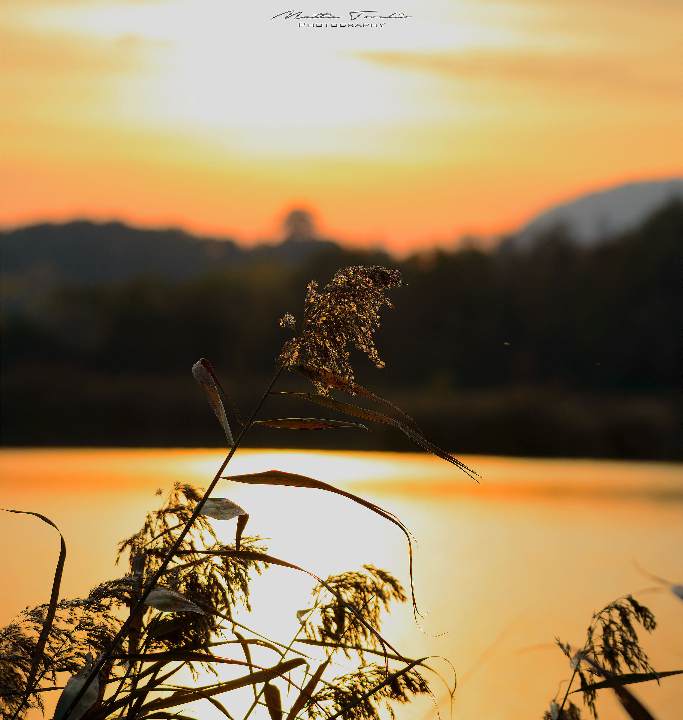 A Sunset in the Autumn