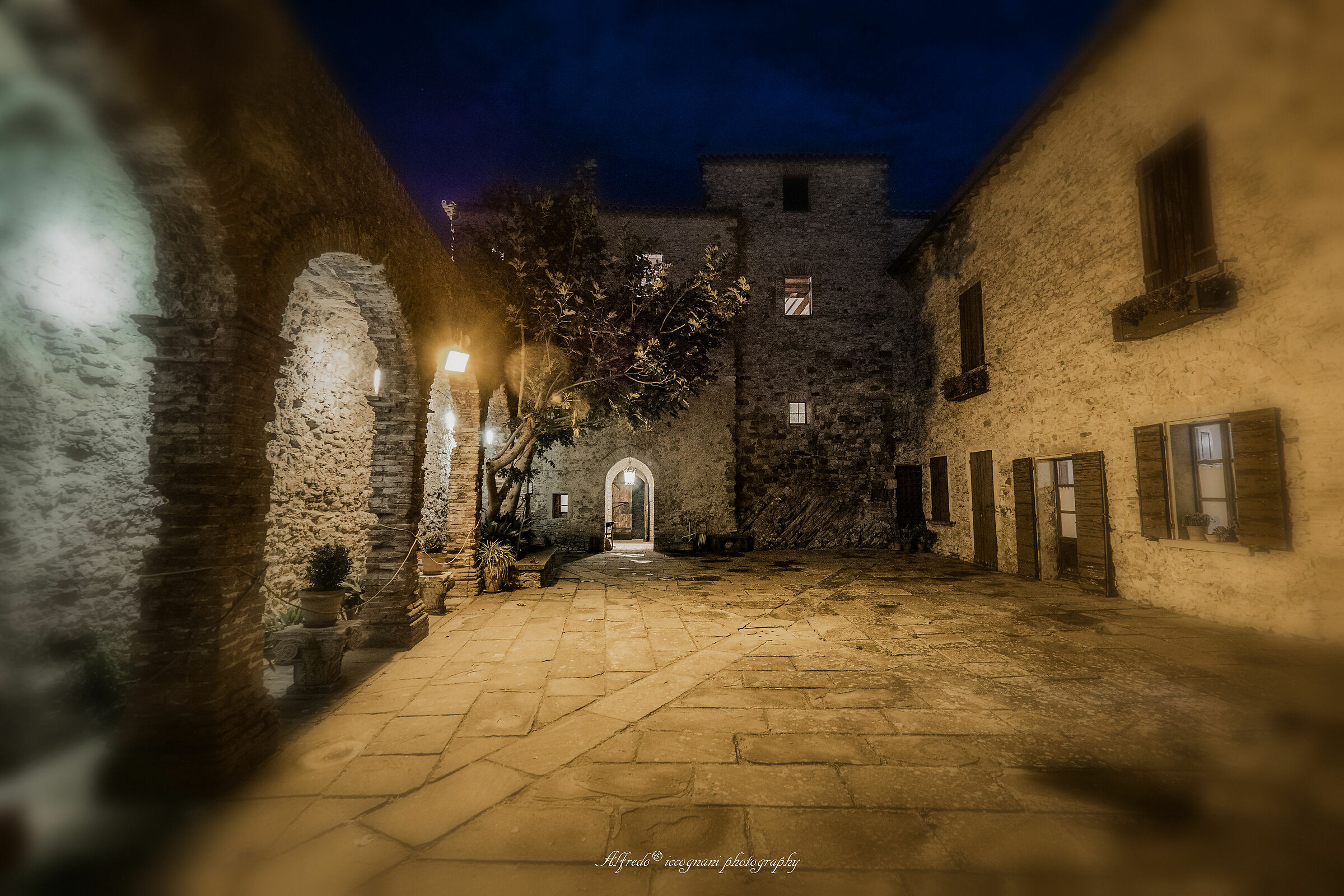 Untitled Photo