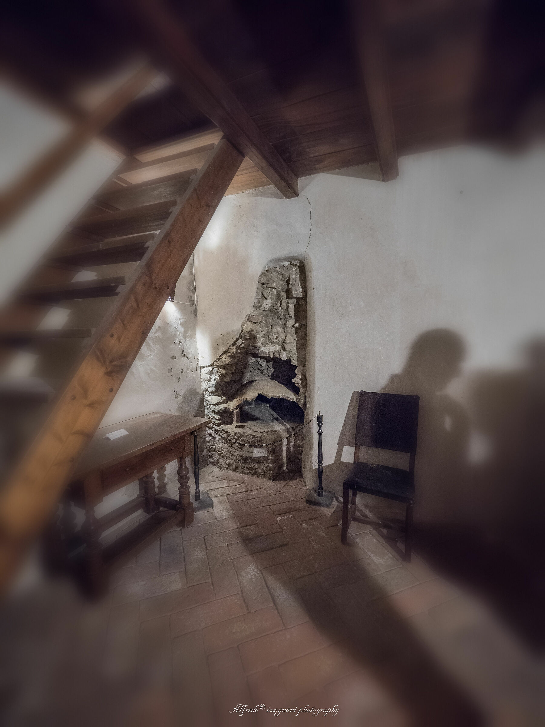 Untitled Photo