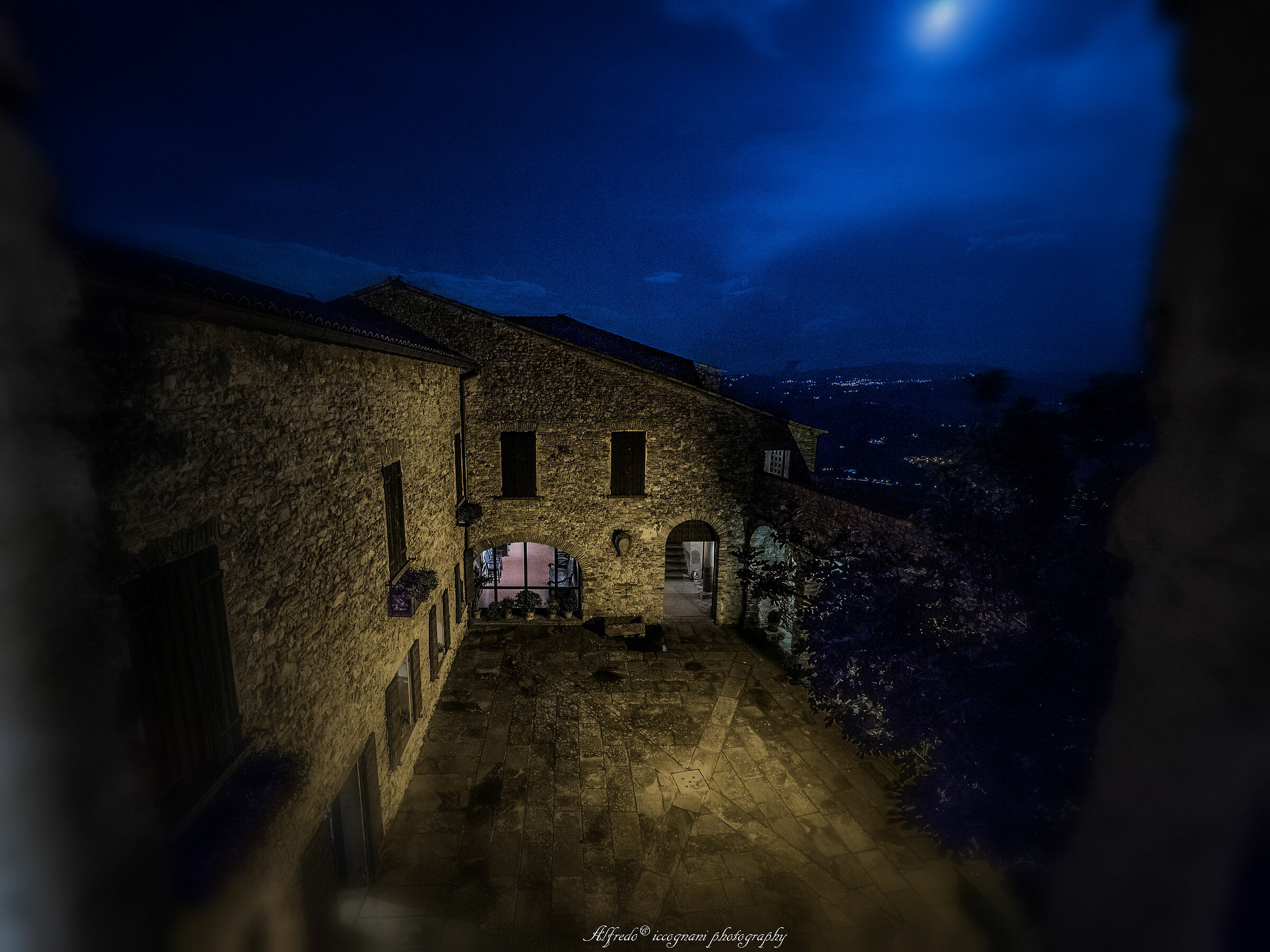 Untitled Photo