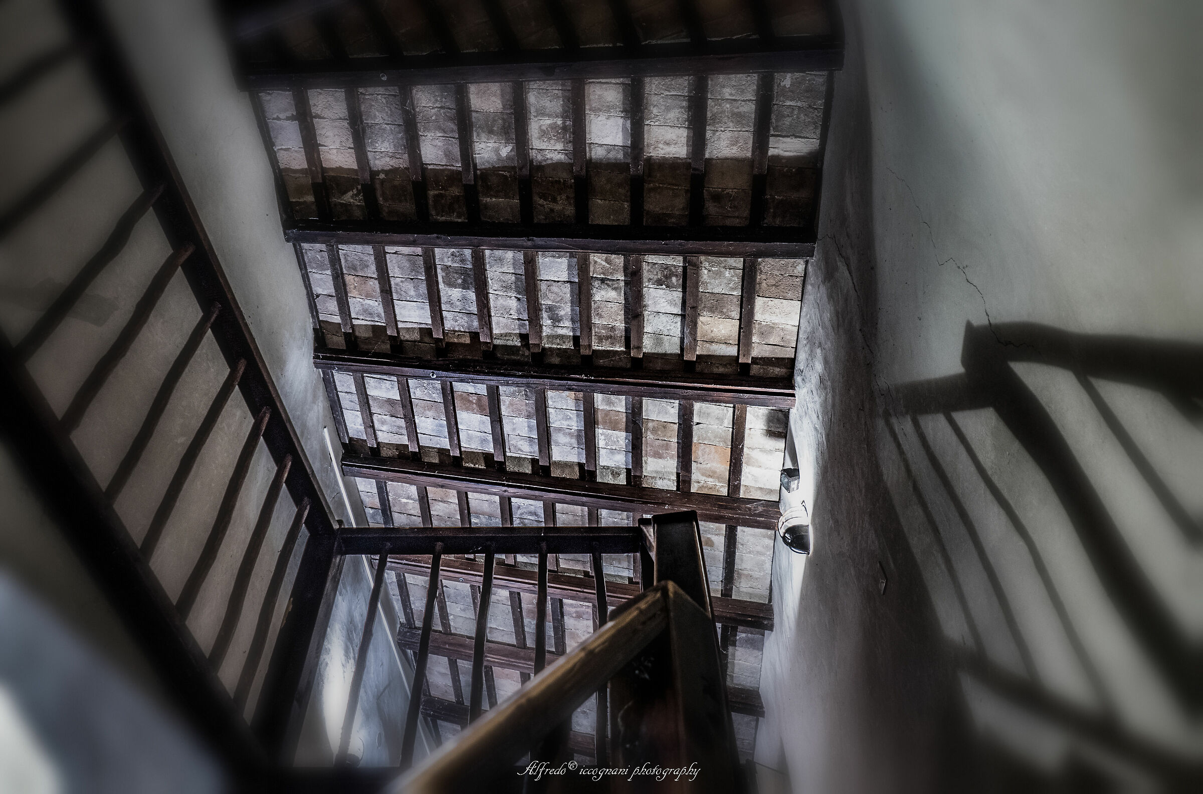 Untitled Photo