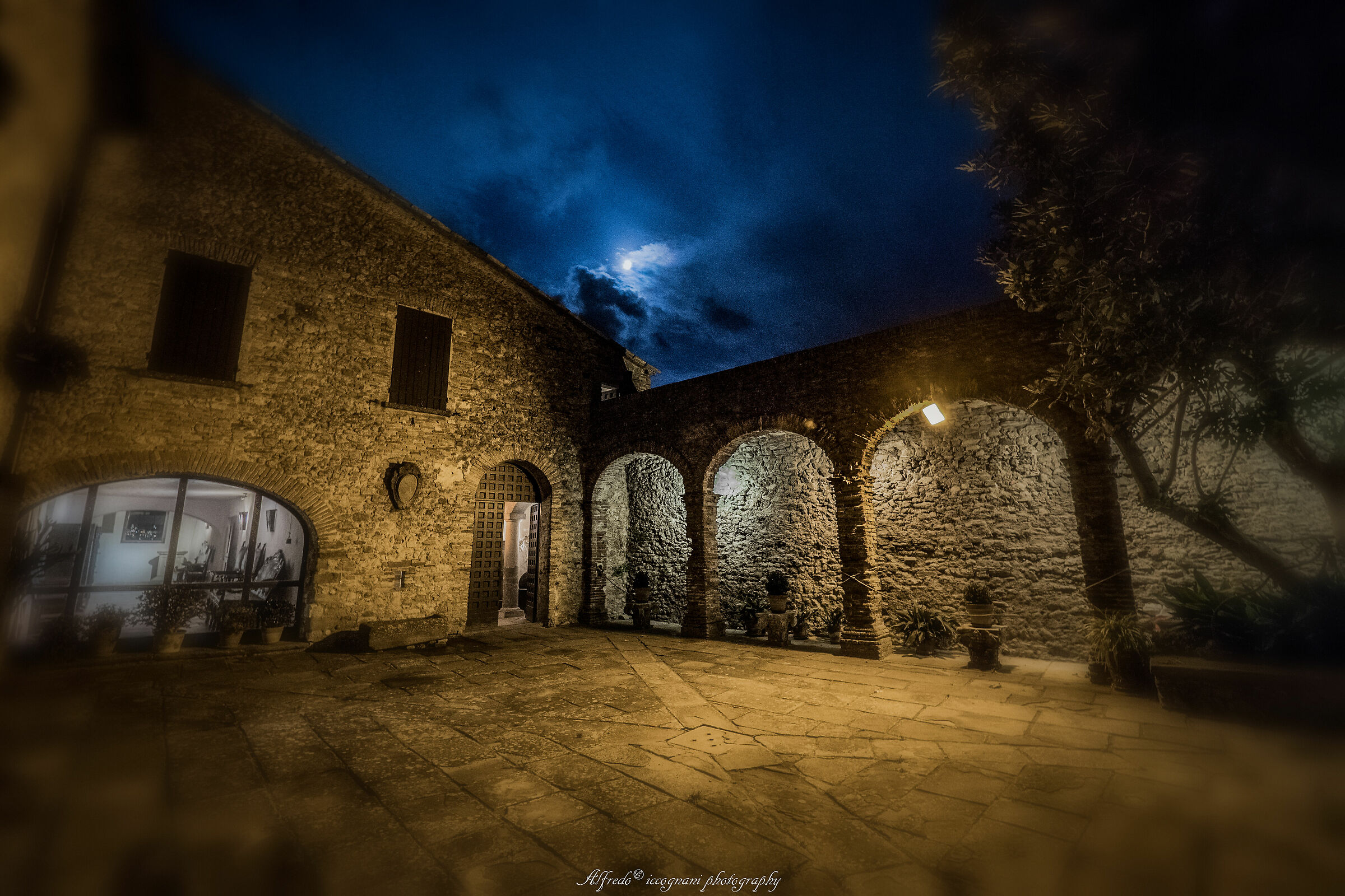 Untitled Photo