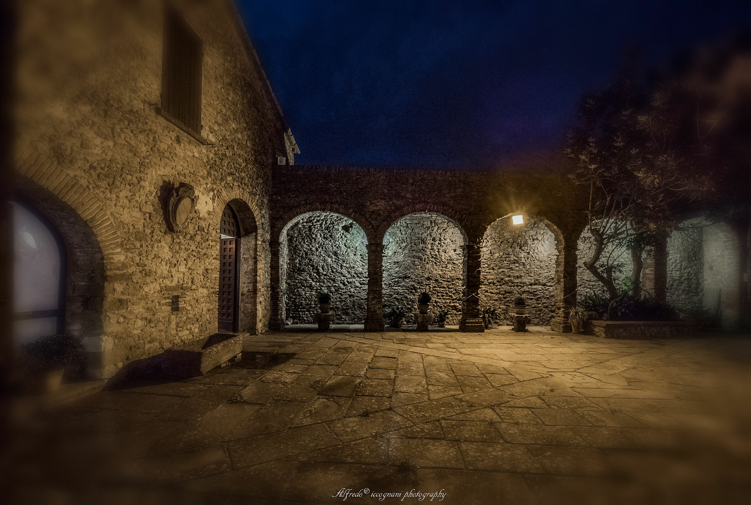 Untitled Photo