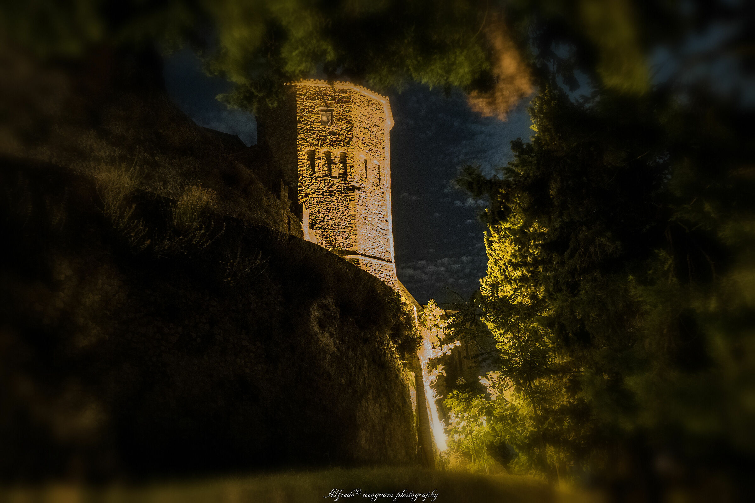 Untitled Photo