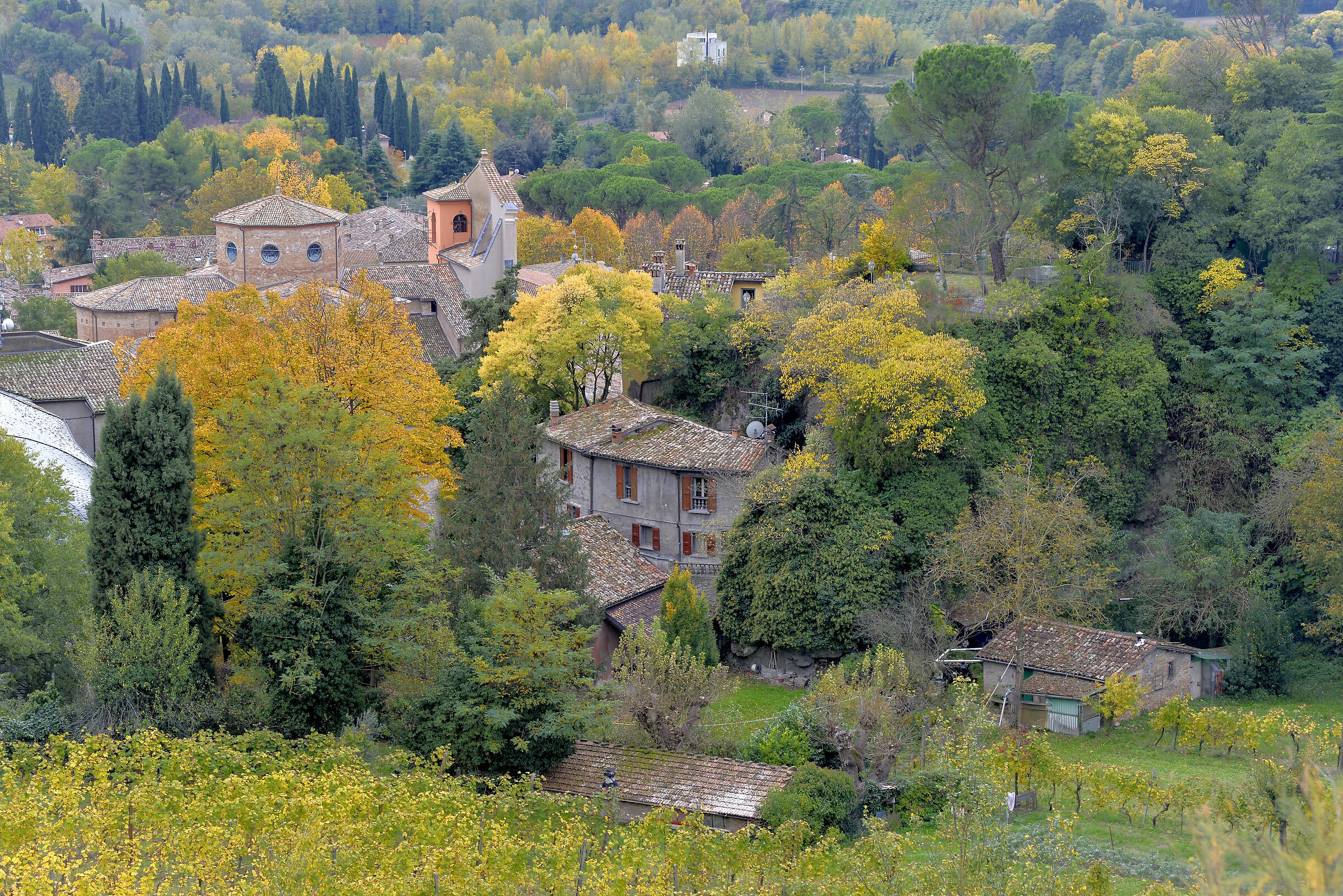 On the edge of the village