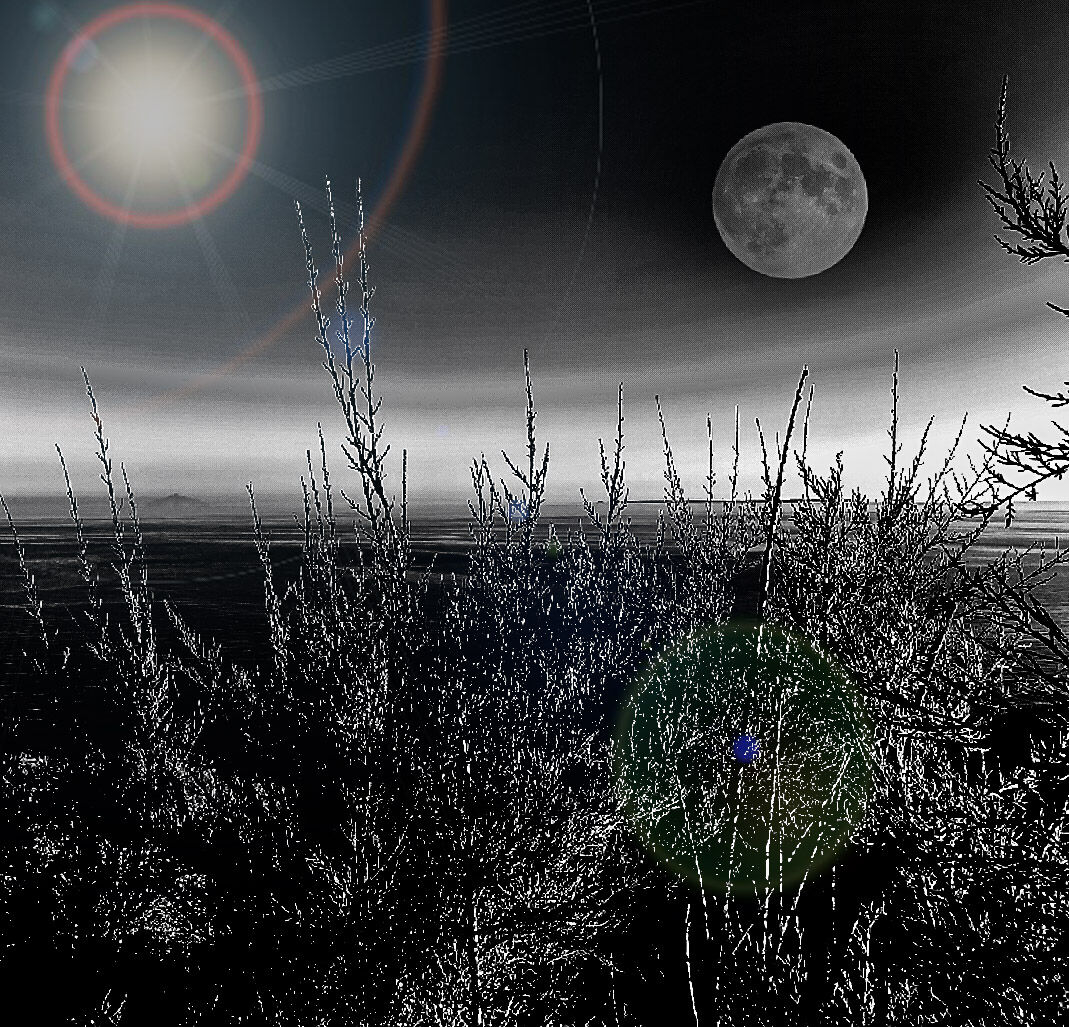 Incontro di mondi....