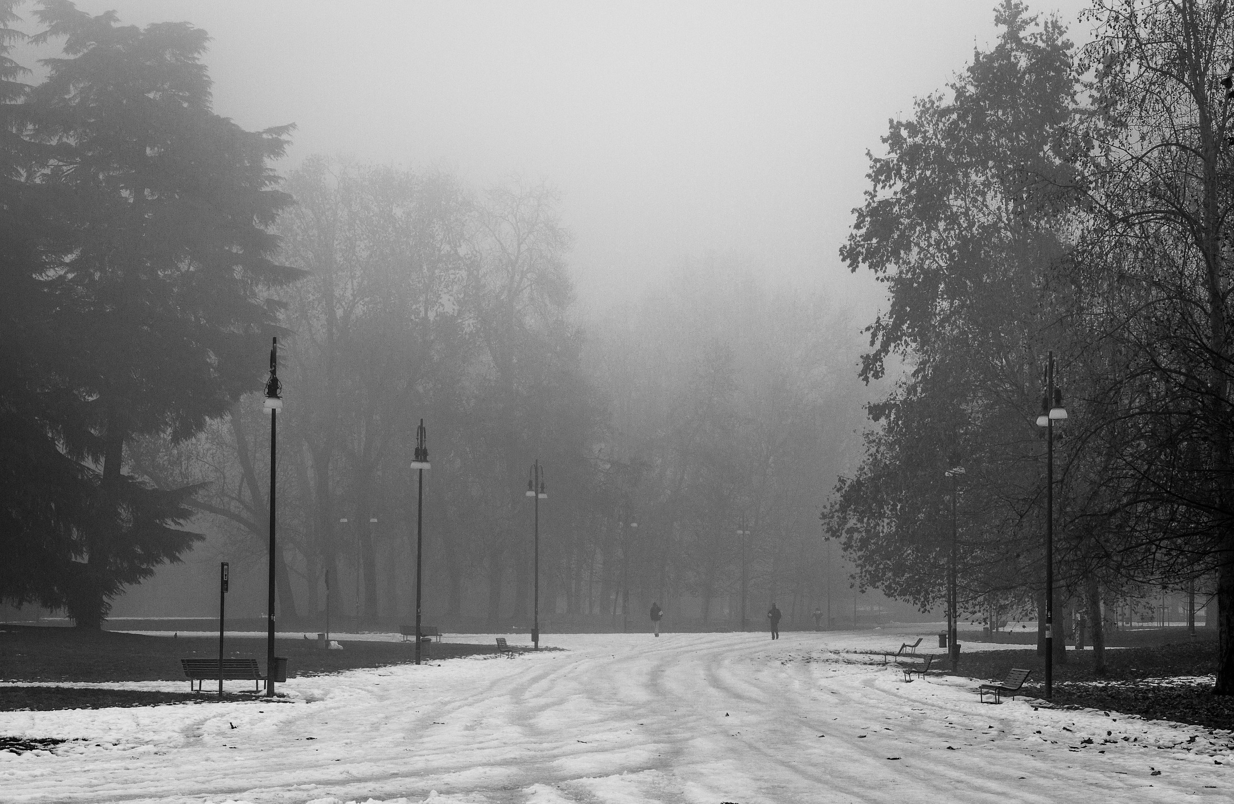 Wadding ... magazine