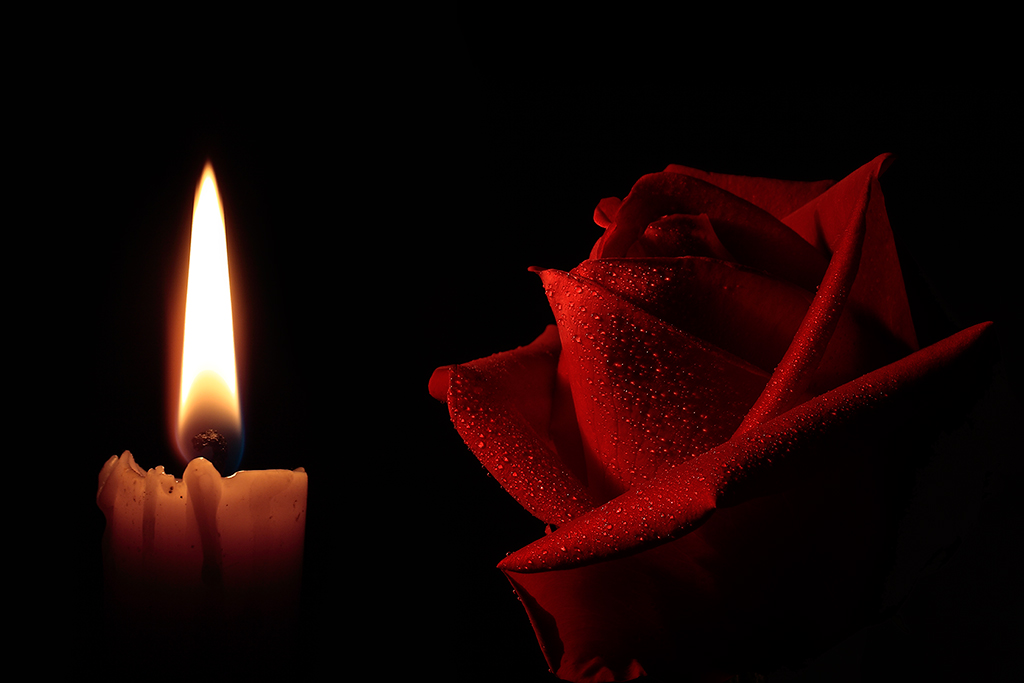 Rosa a lume di candela