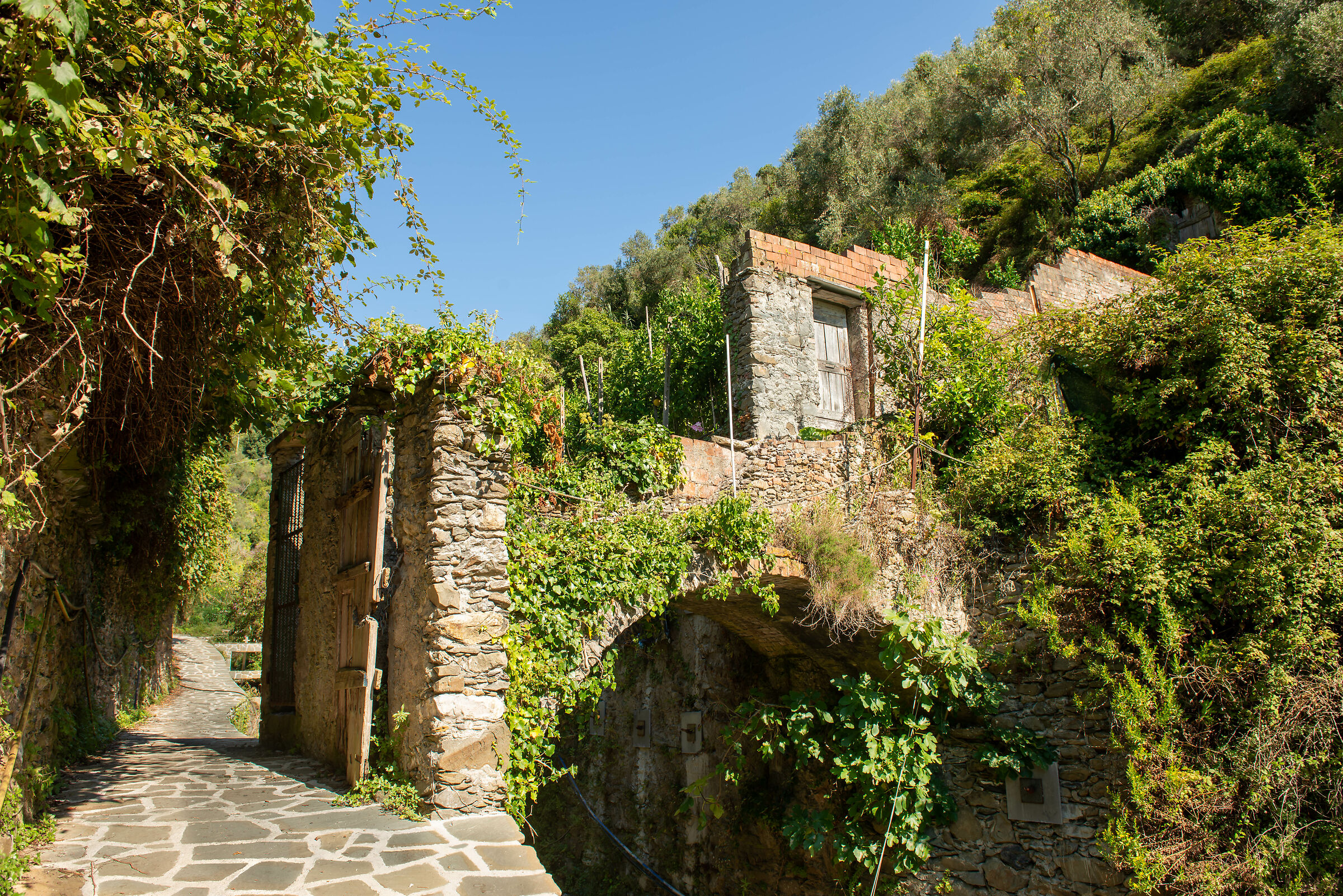 Parco delle 5 Terre