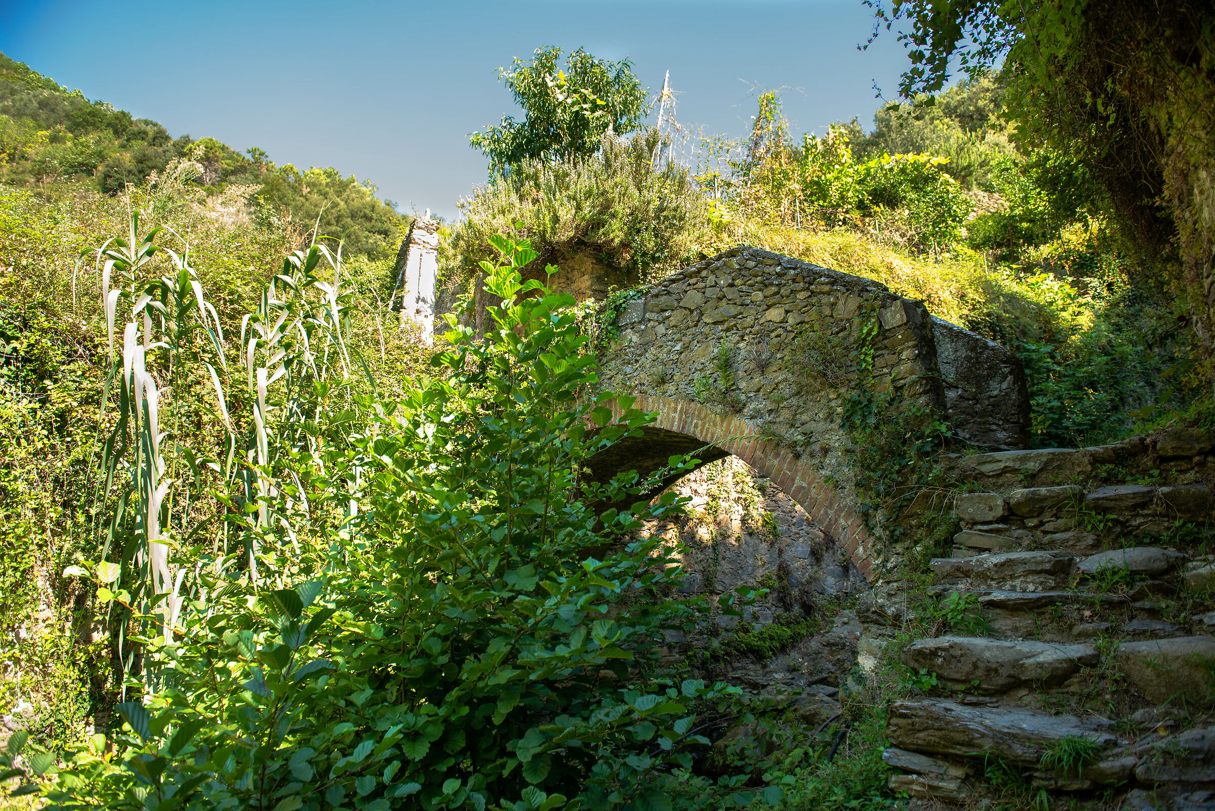 Parco delle 5 Terre 2