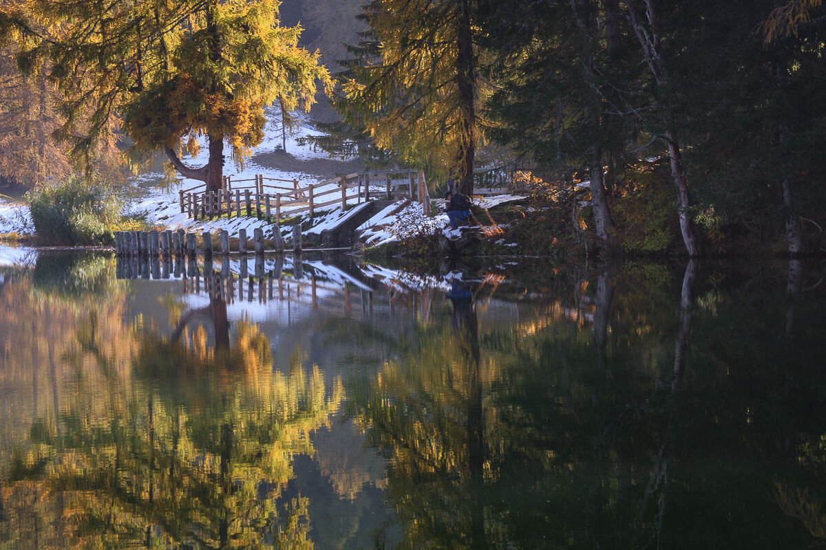 Riflessioni d'autunno ...