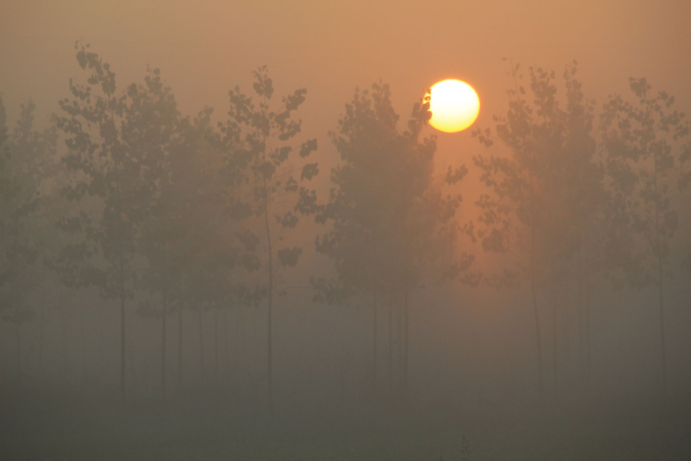 Alba del 07 Novembre 2020