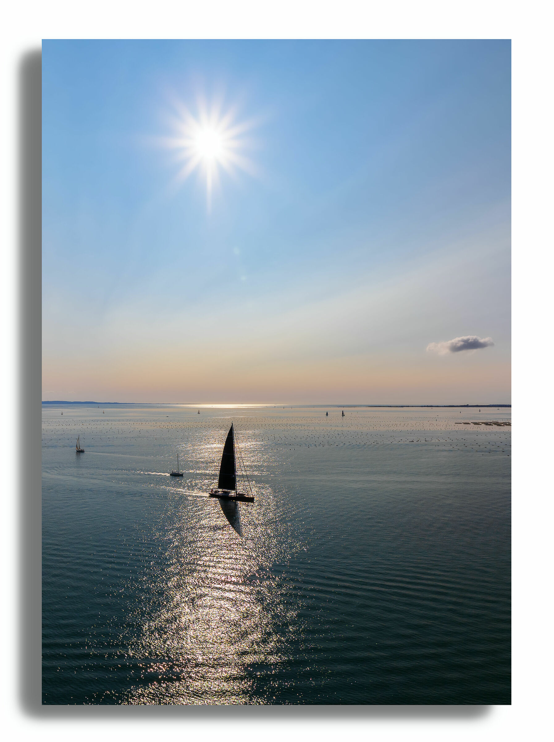 Vele come ali spiegate al sole