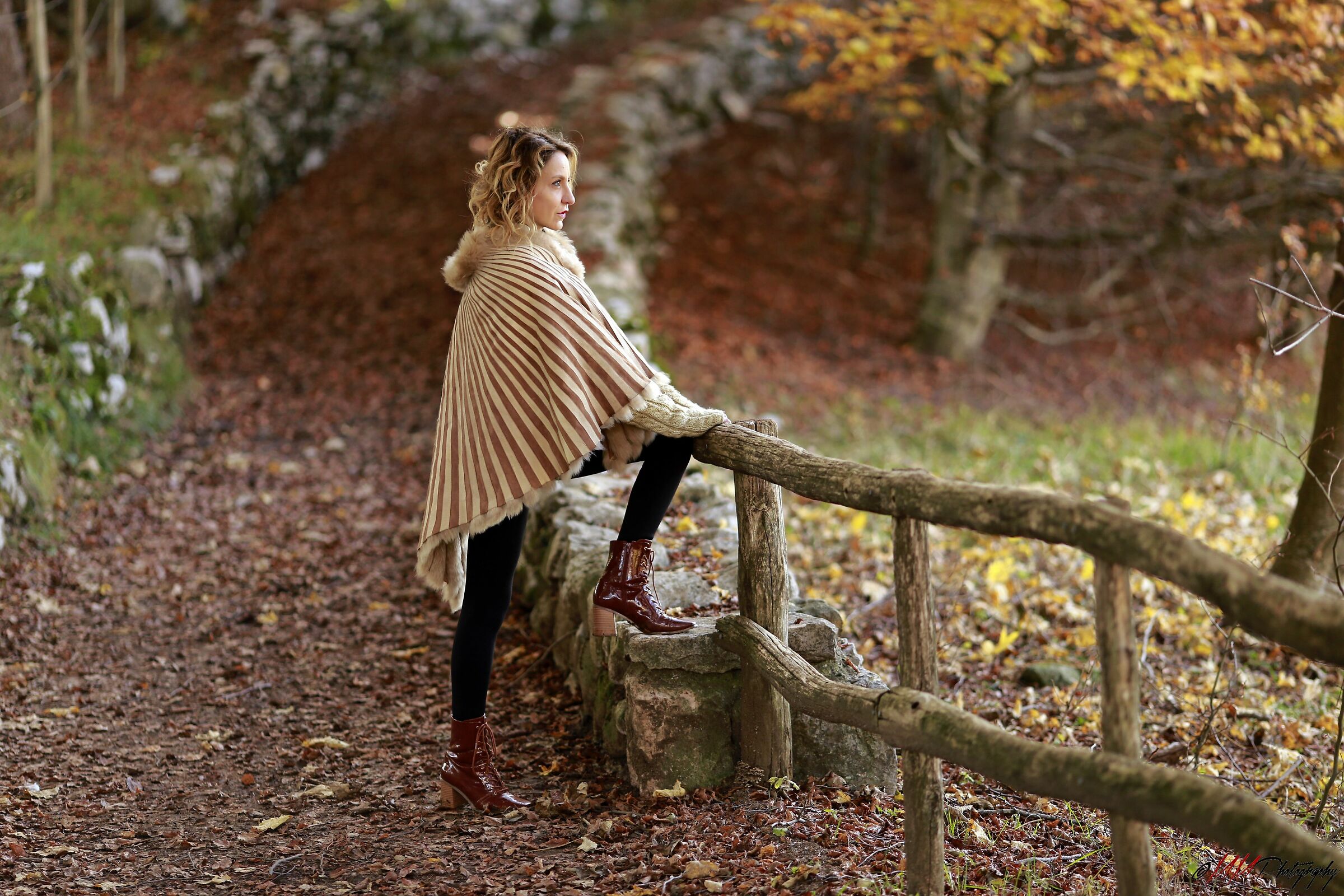 Untitled Photo