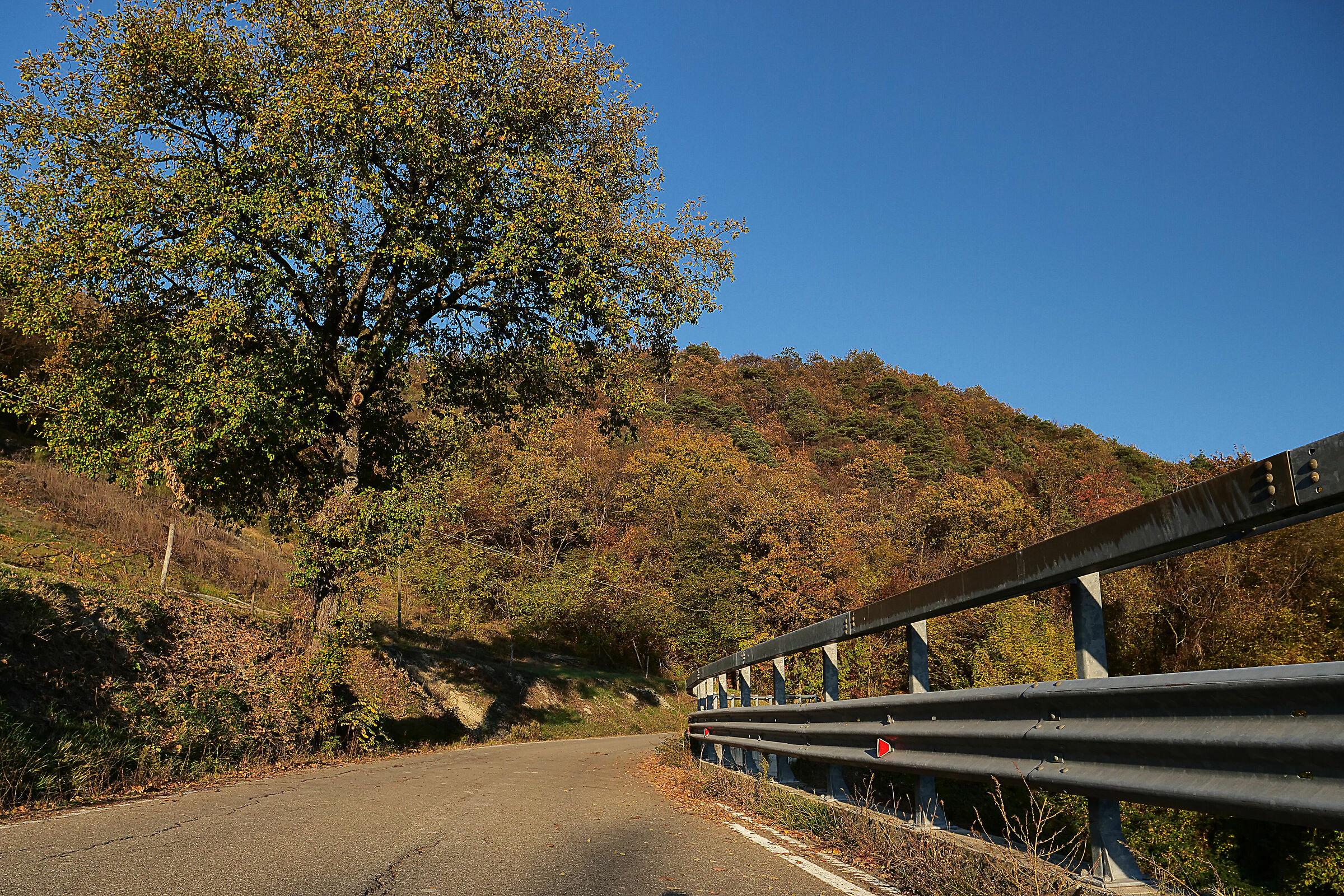 Alla ricerca di un paesaggio in collina