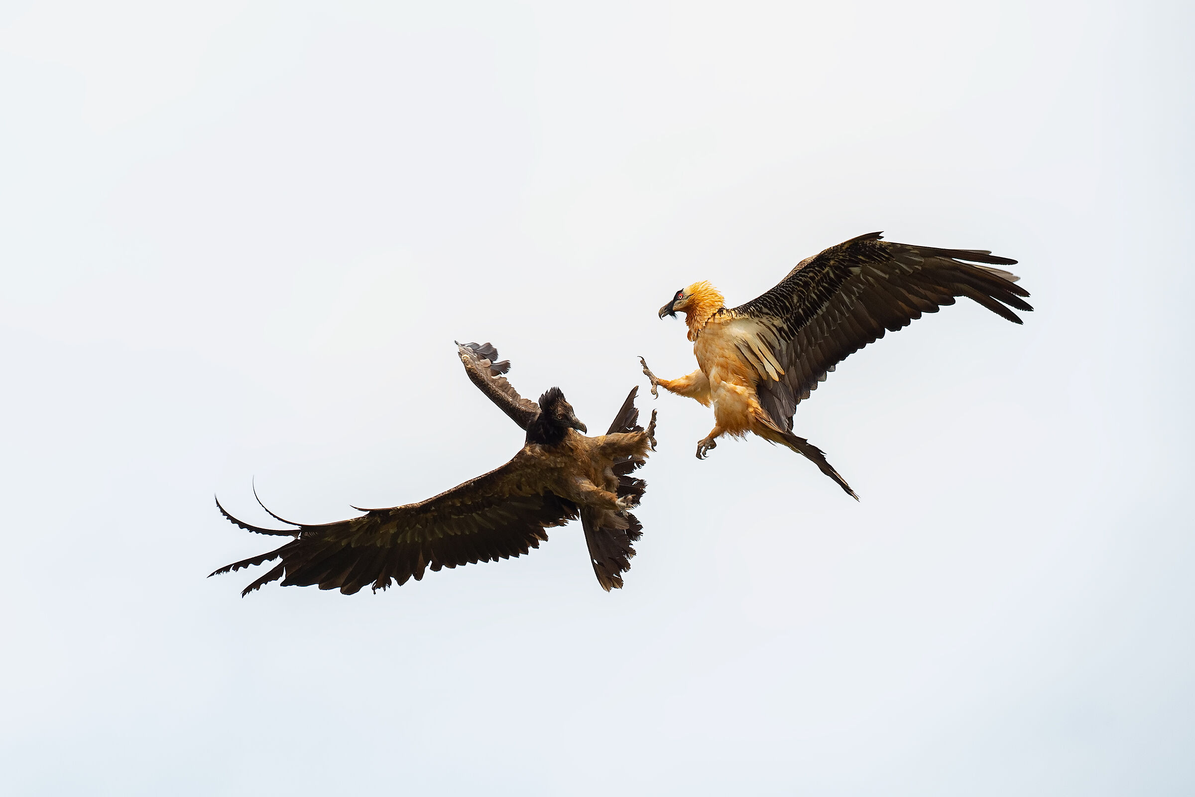 scontri generazionali