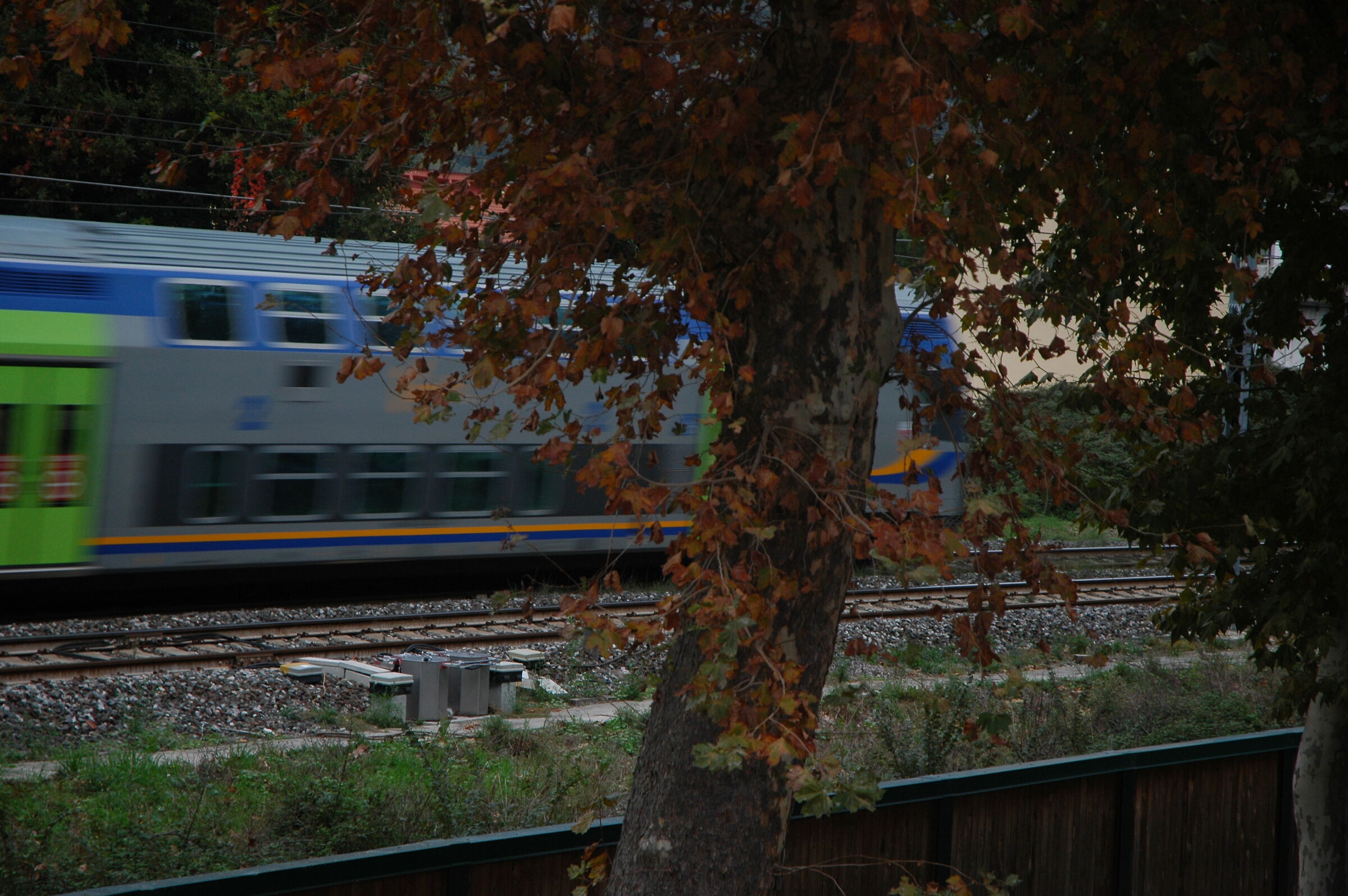 Untitled Photo