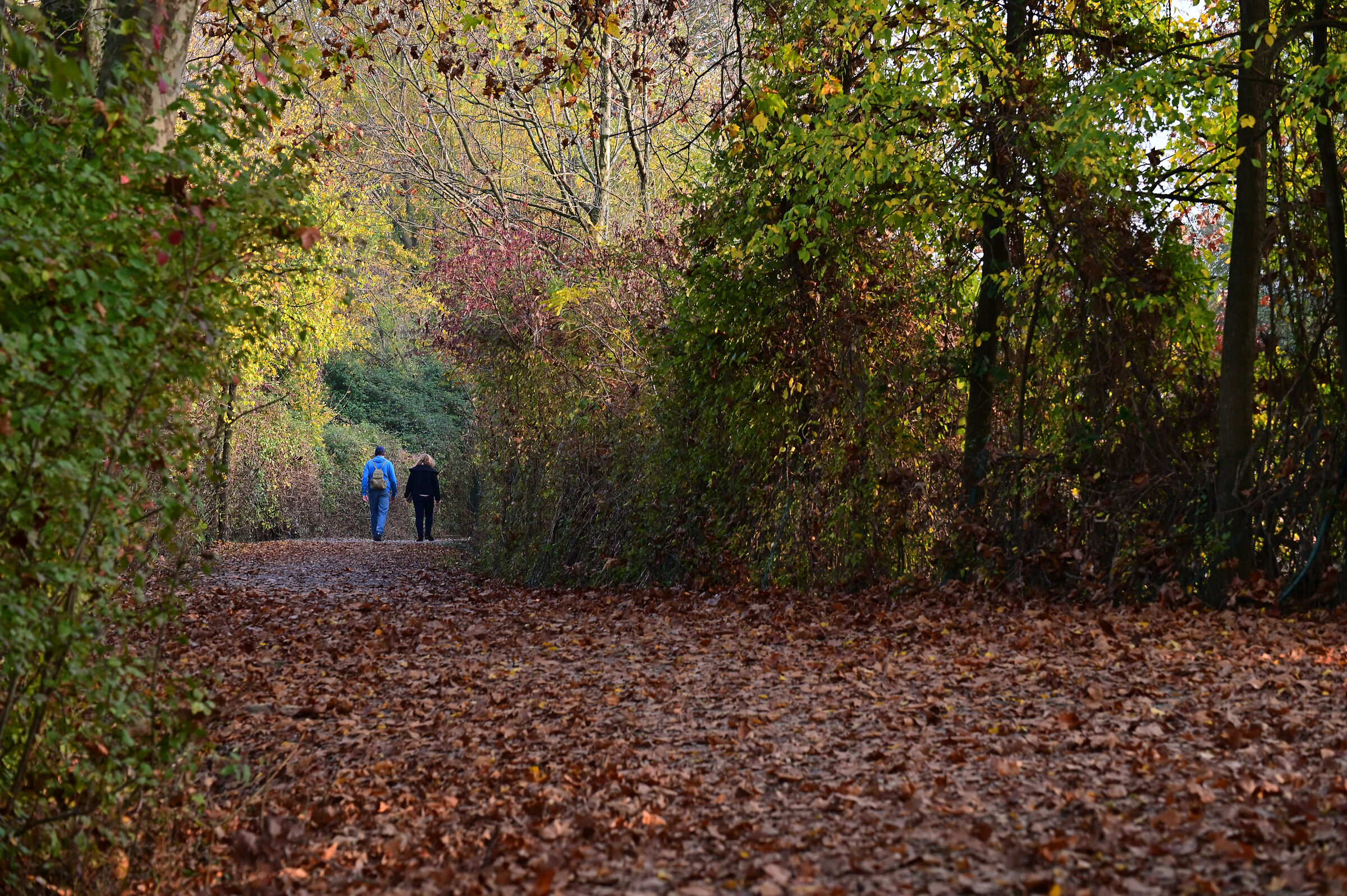 5/11: the last walk - n.3