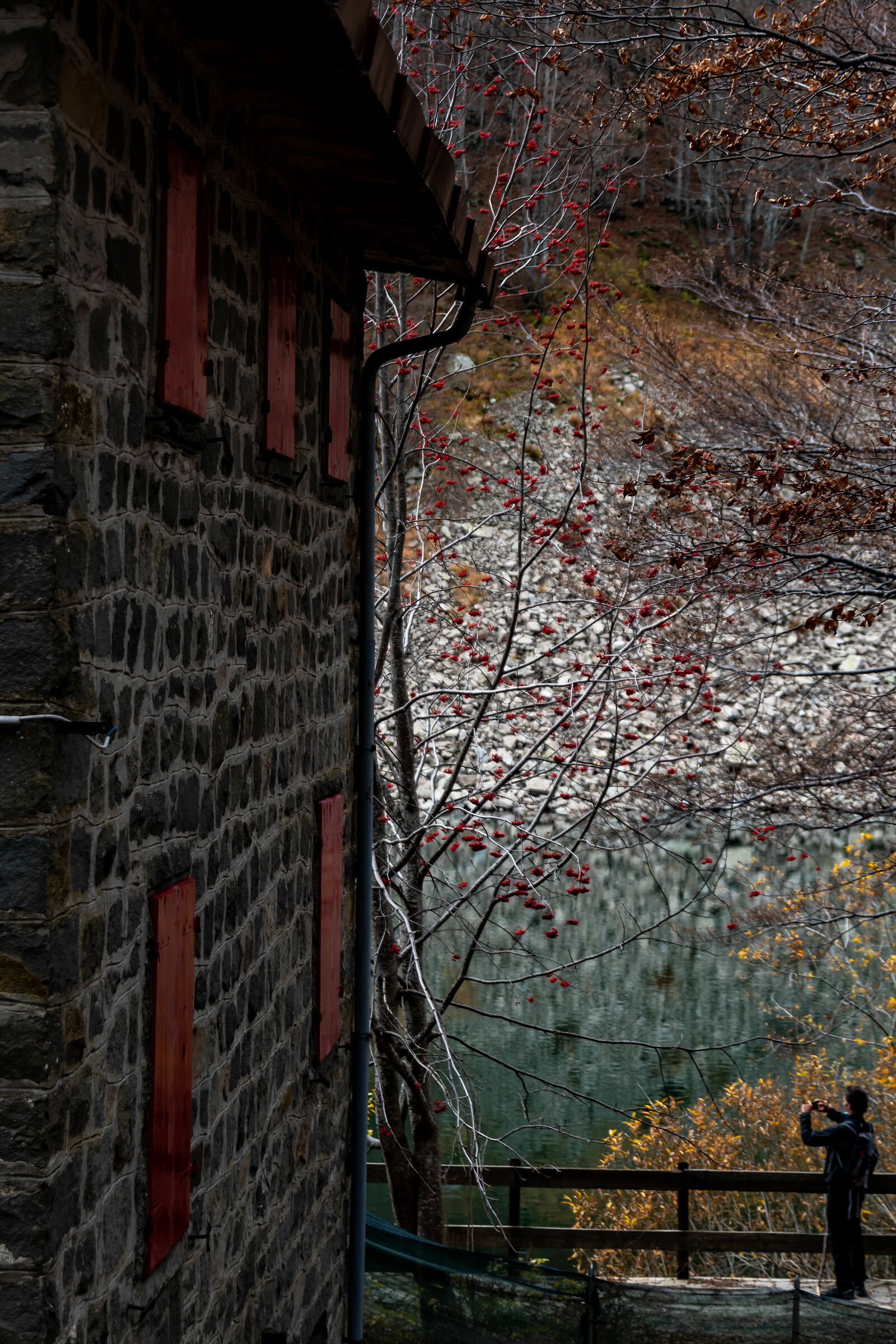 The Sound of Silence