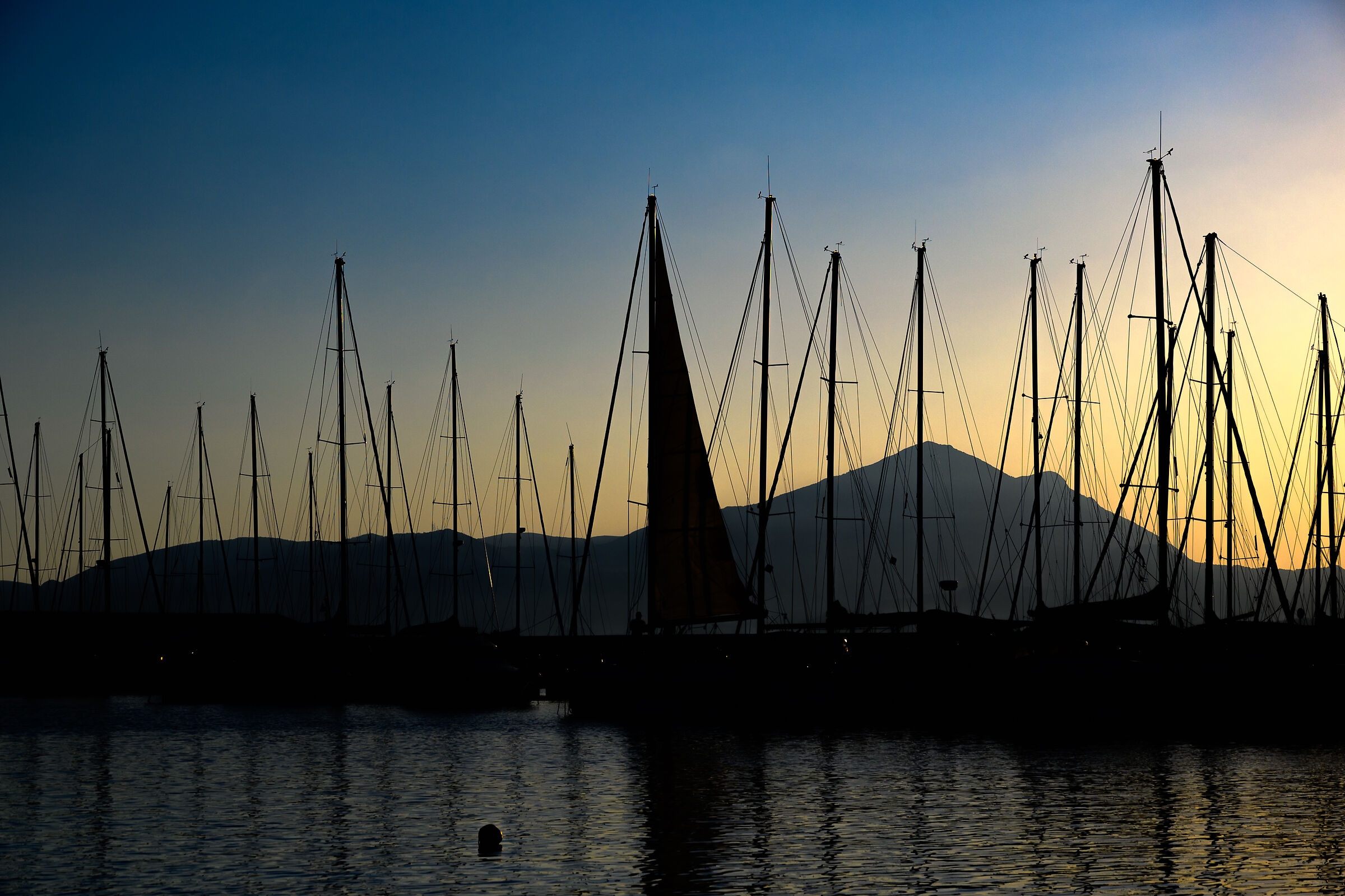Calma. In un pomeriggio di mezza estate