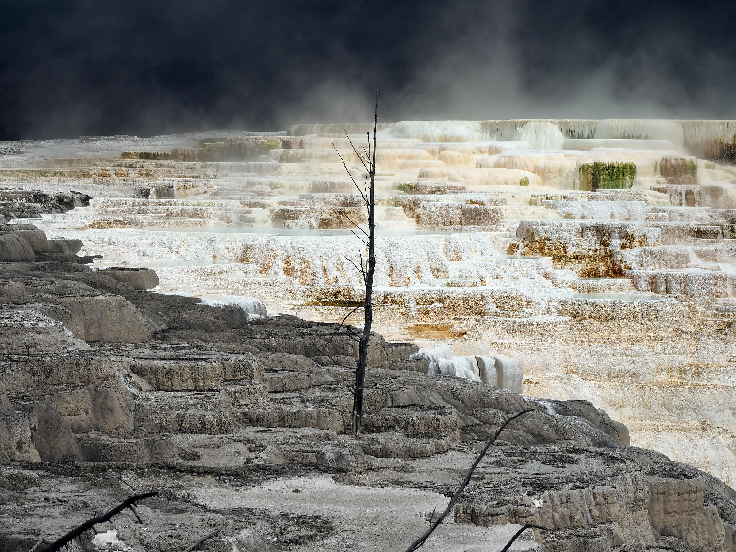 Yellowstone National Park