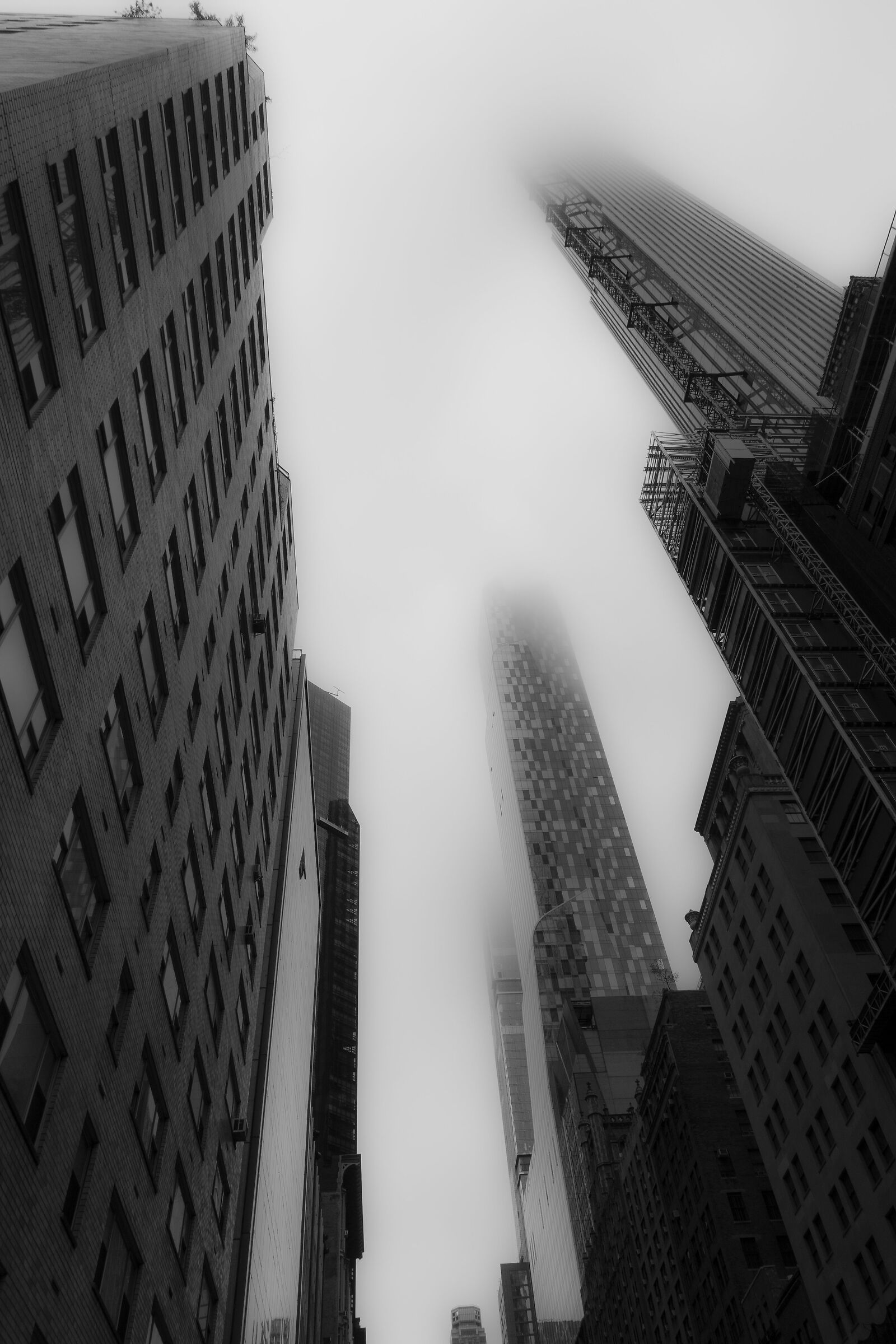 Getting lost in the fog