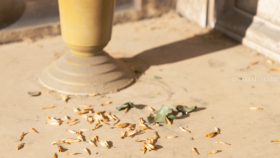 Estate di San Martino...