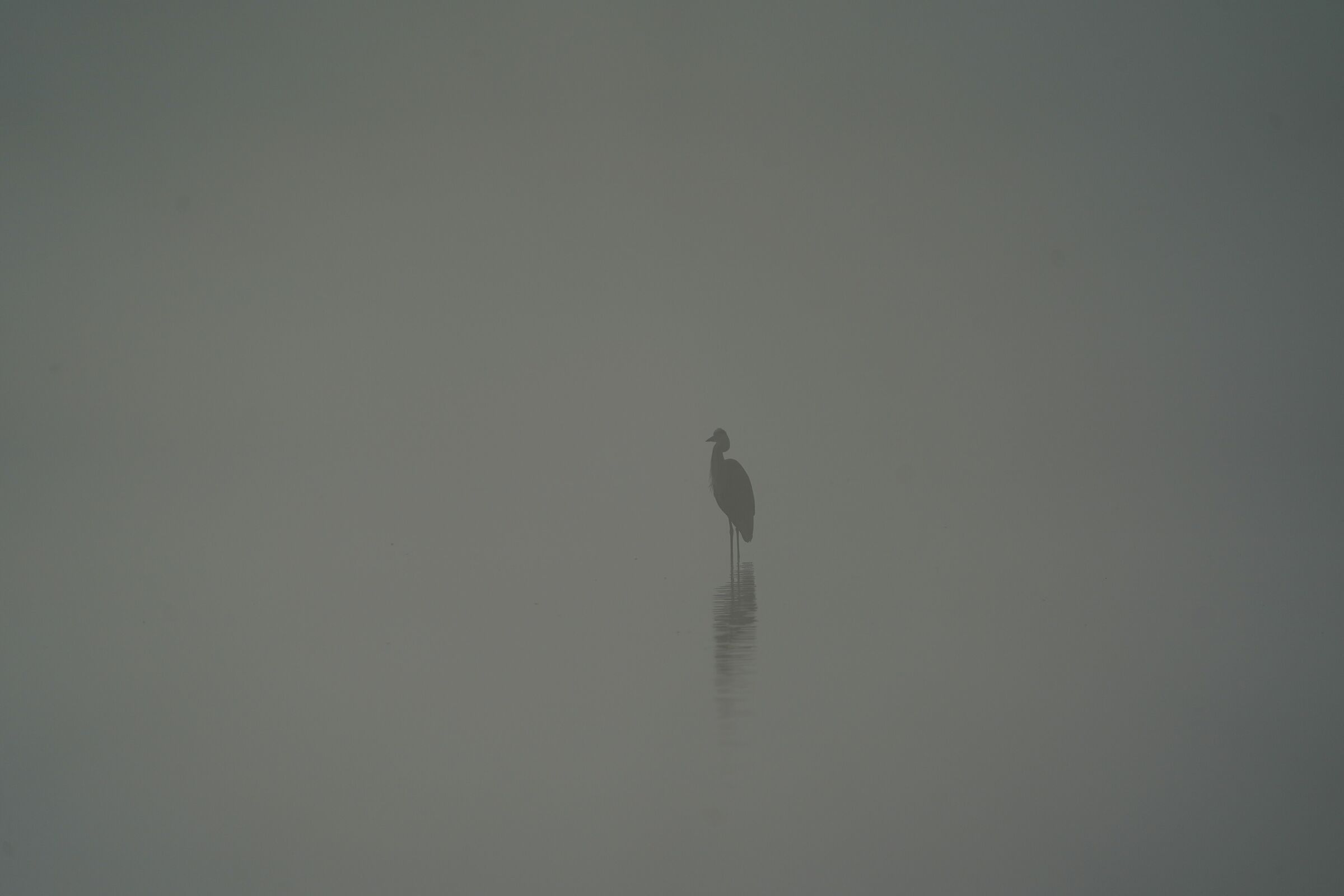 Solitudine autunnale