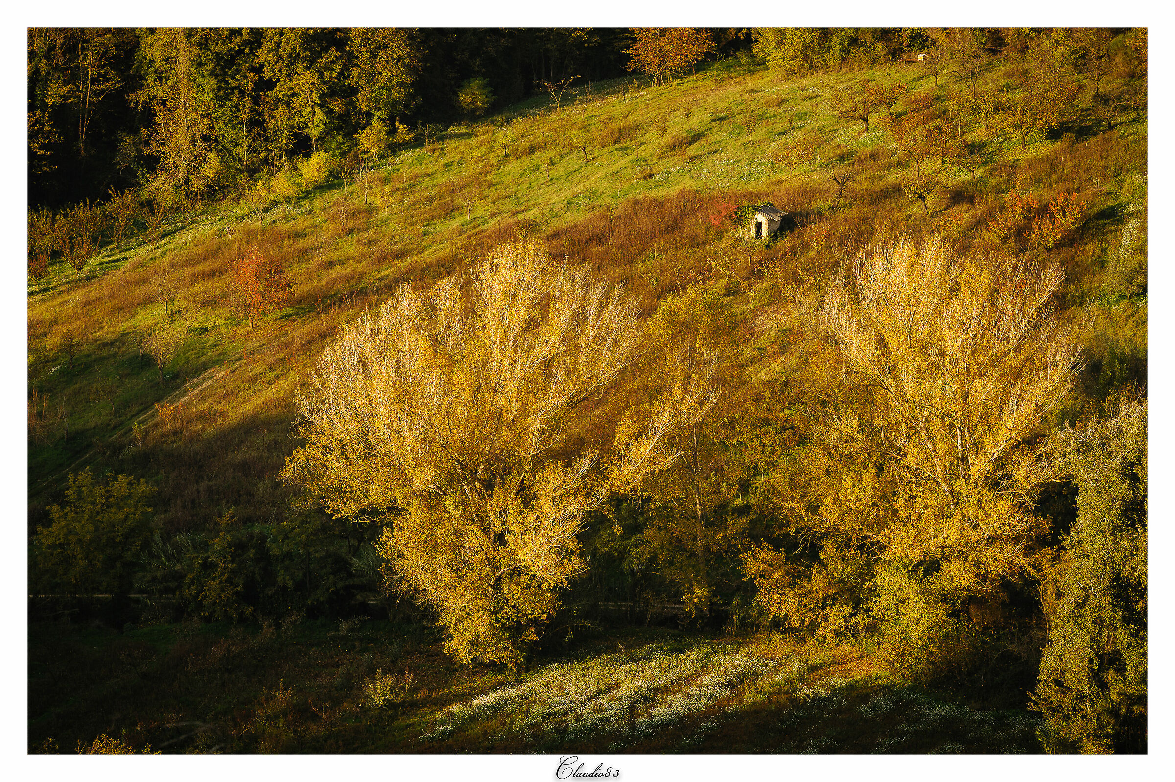 Autunno dal terrazzo di casa...
