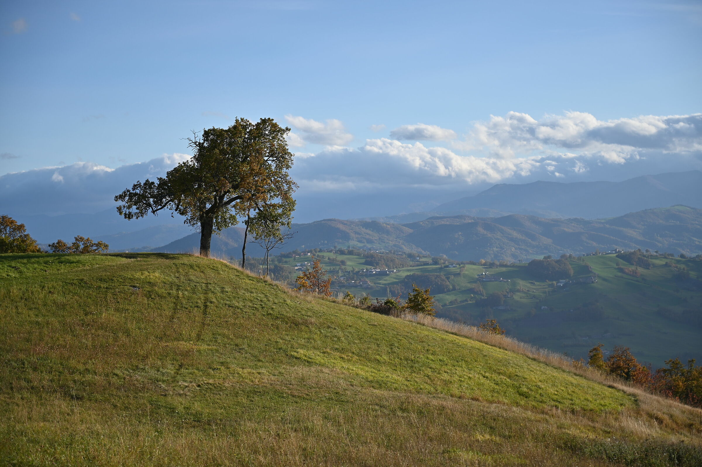 Autunno sull'appennino Modenese