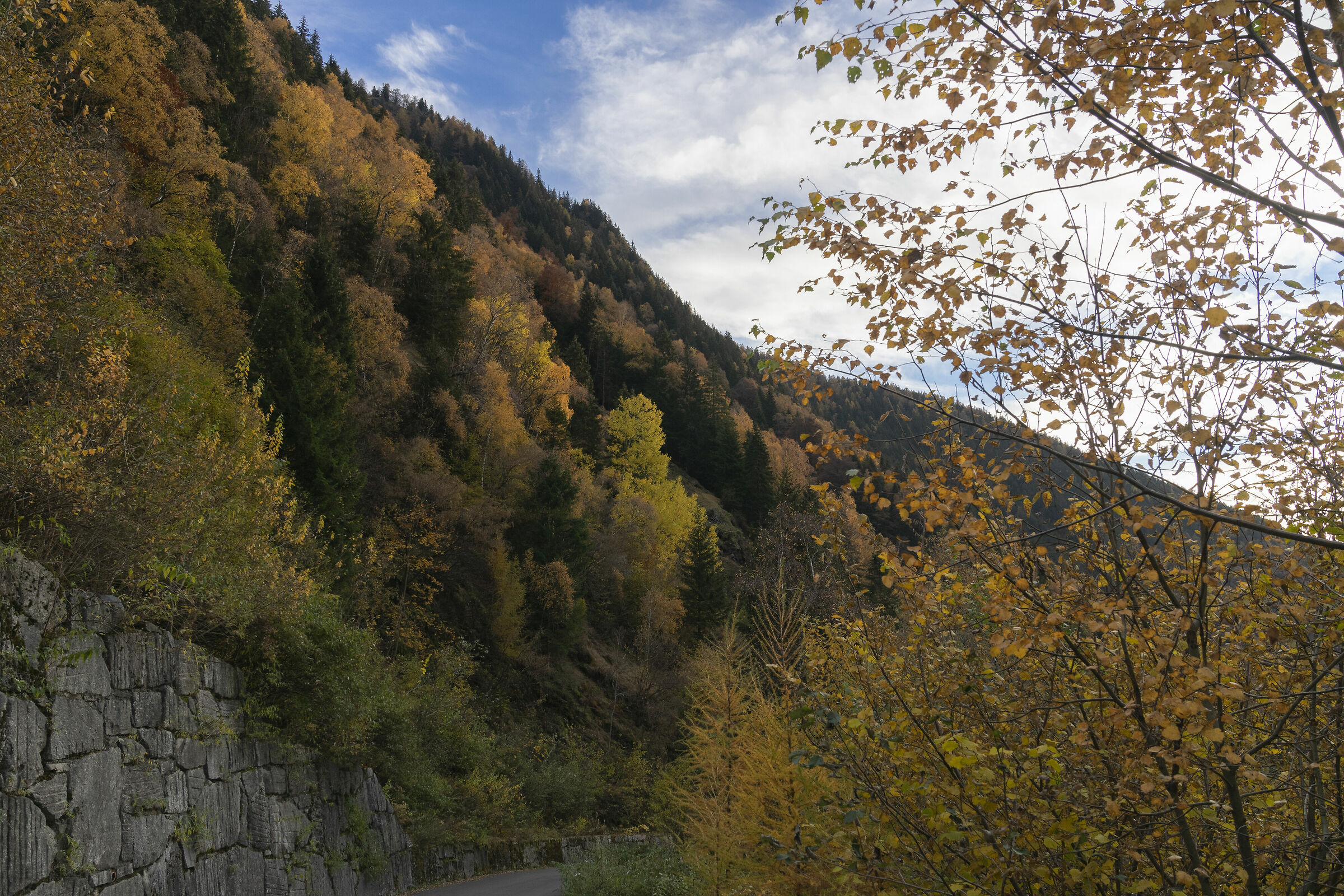 Breathtaking views in the Sasso Bisolo Valley